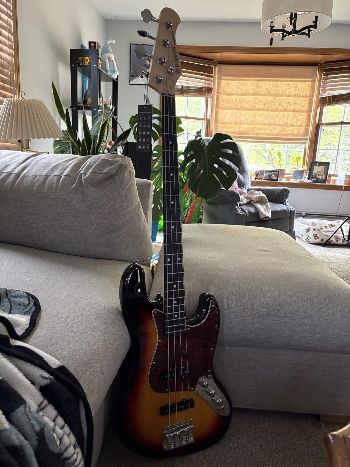 Donner Electric Bass Guitar 4 Strings Full-Size Standard Bass PB-Style Beginner Kit Black for Starter with Free Online Lesson Gig Bag Guitar Strap and Guitar Cable, DPB-510D customer photo 1