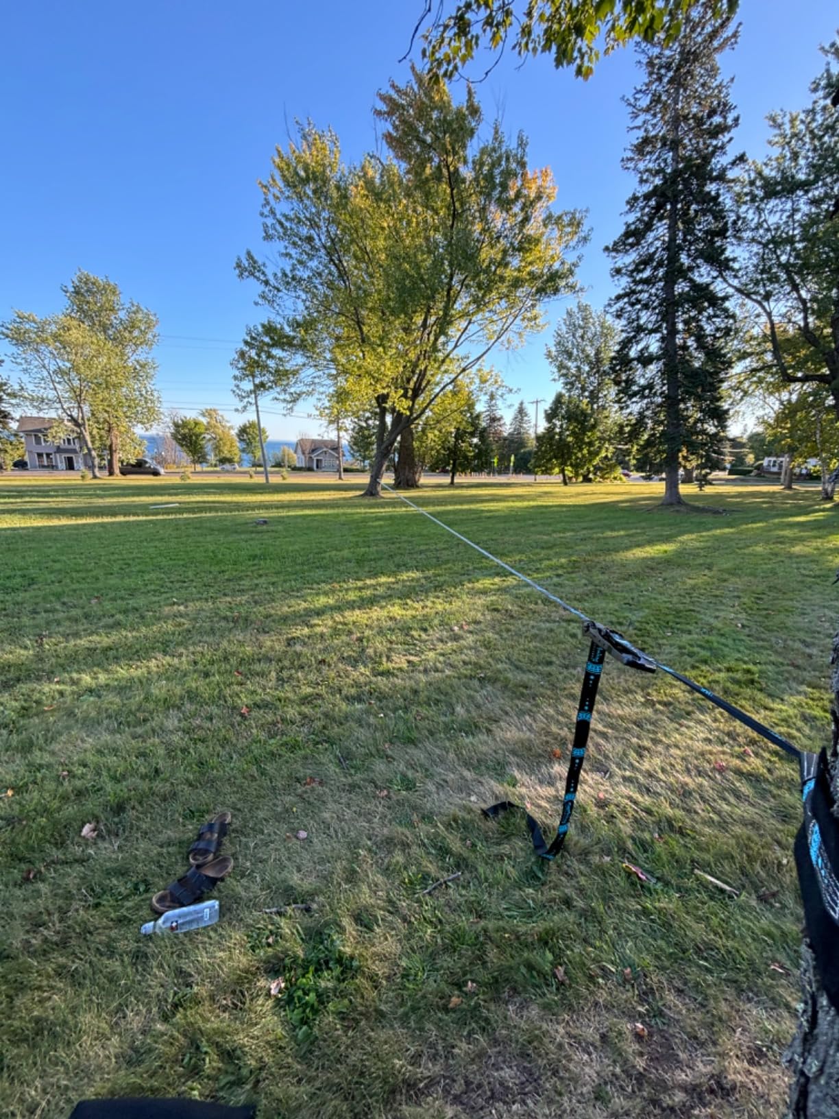 ZenMonkey Infinity Slackline Kit - 100 Foot Longline Slackline with Ergo Ratchet, Tree Protectors, Cloth Carry Bag and Instructions - Easy Setup for The Family, Kids and Adults customer photo 1