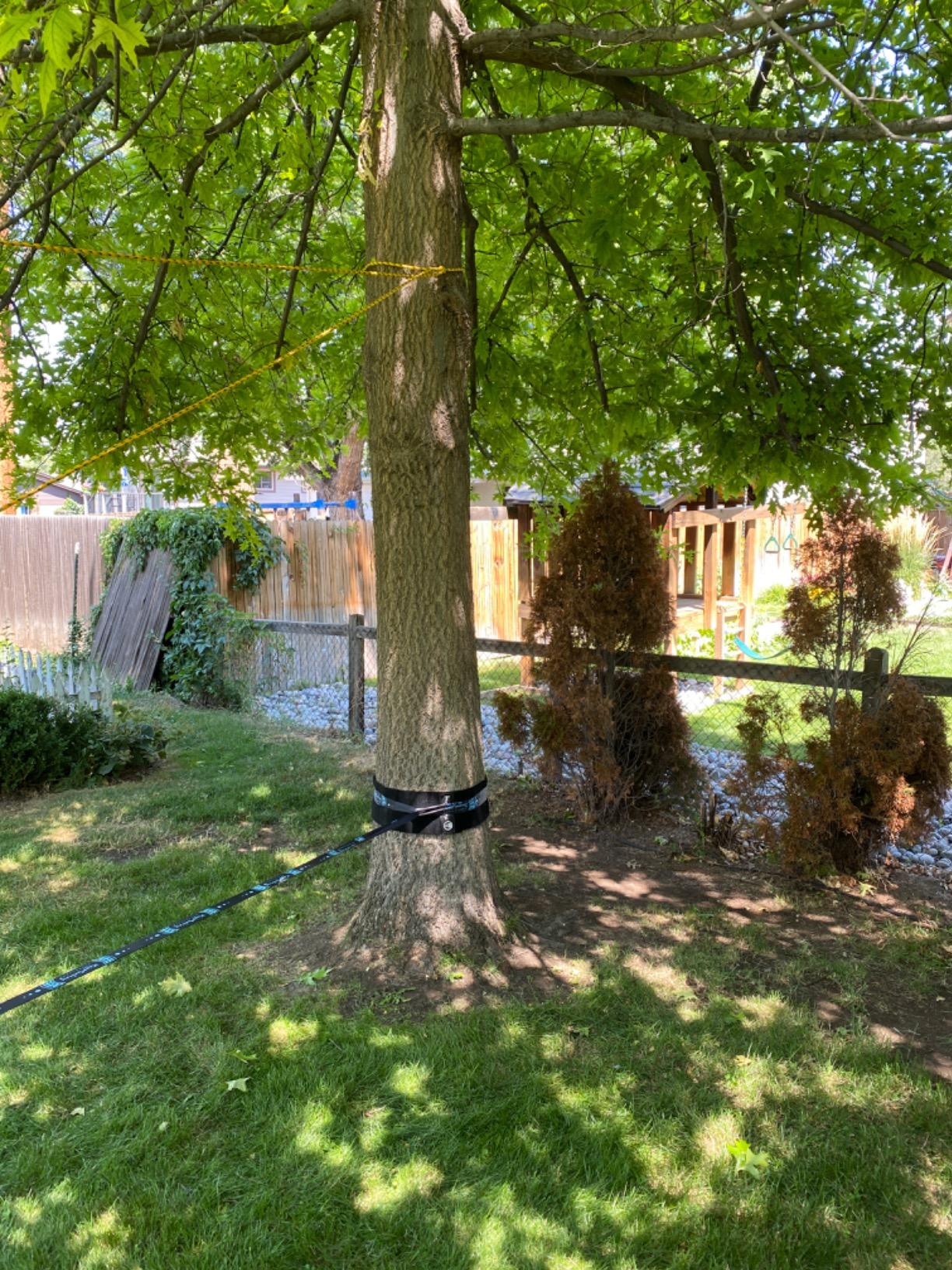 ZenMonkey Infinity Slackline Kit - 100 Foot Longline Slackline with Ergo Ratchet, Tree Protectors, Cloth Carry Bag and Instructions - Easy Setup for The Family, Kids and Adults customer photo 2