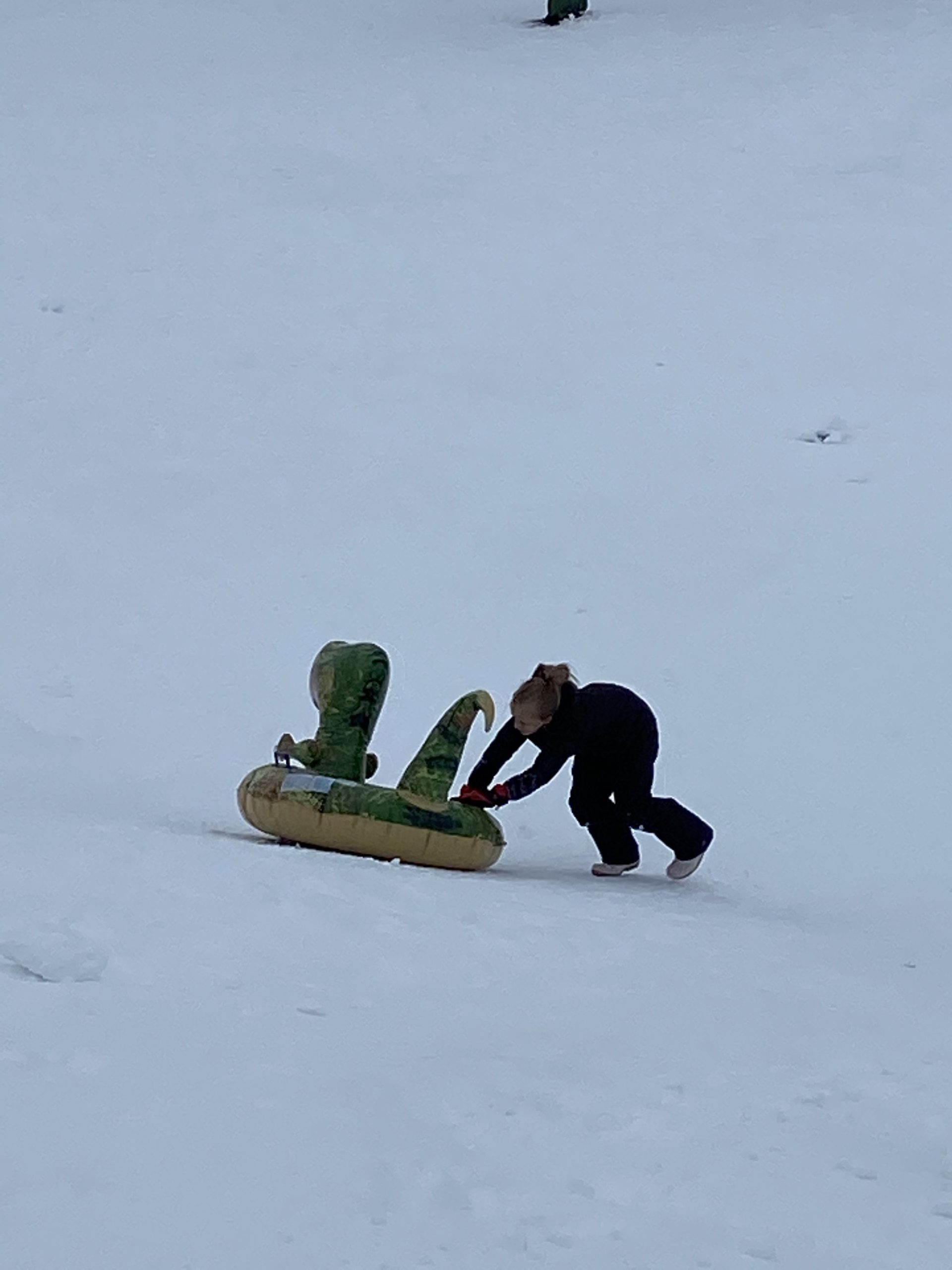 Dinosaur Snow Tube, FindUWill 64.9 inch Large Inflatable Snow Sled with Handles, Heavy Duty Snow Tubes Sledding for Kids and Adults (Reinforced Double-Layers Bottom) customer photo 1
