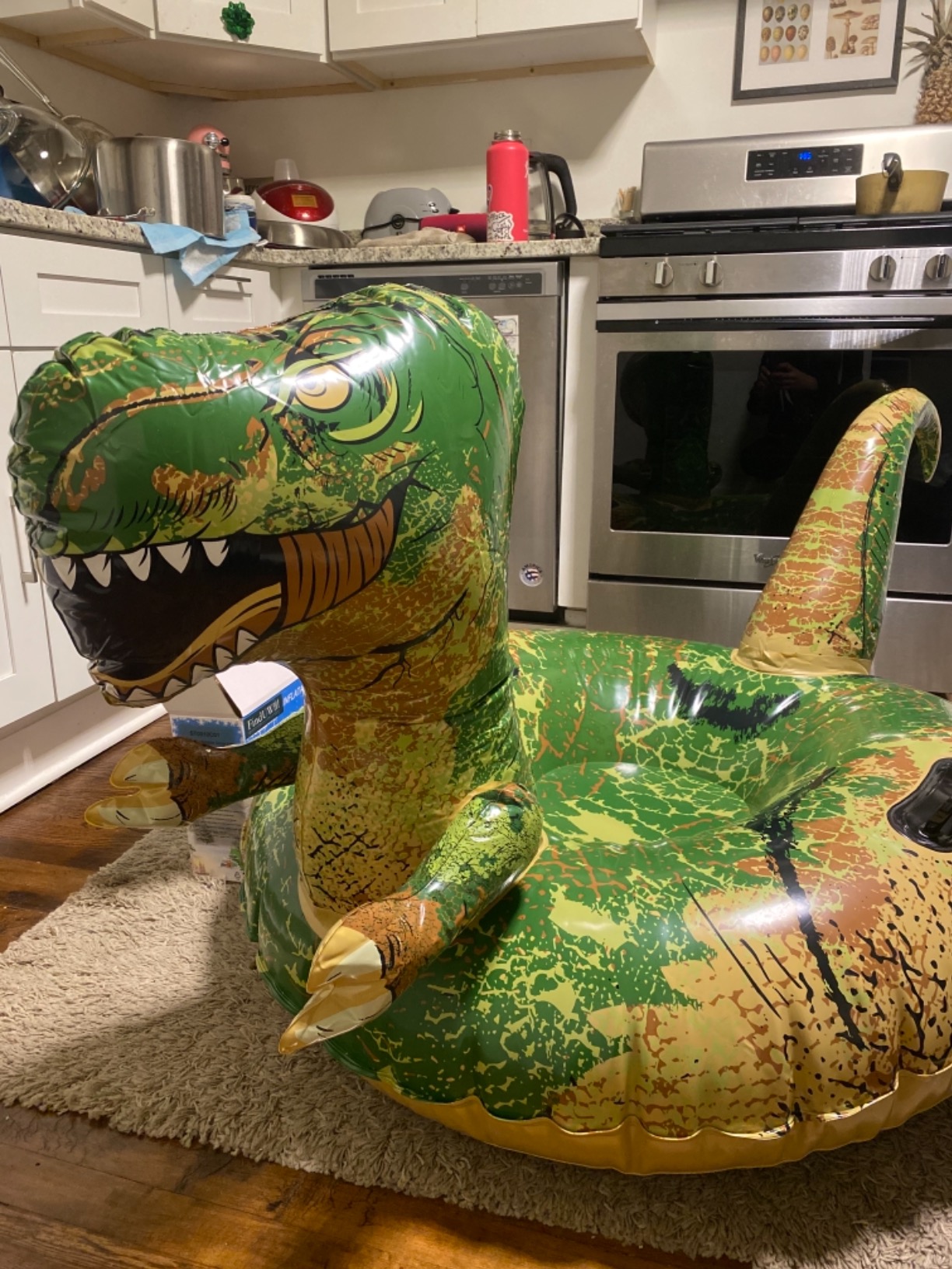 Dinosaur Snow Tube, FindUWill 64.9 inch Large Inflatable Snow Sled with Handles, Heavy Duty Snow Tubes Sledding for Kids and Adults (Reinforced Double-Layers Bottom) customer photo 2