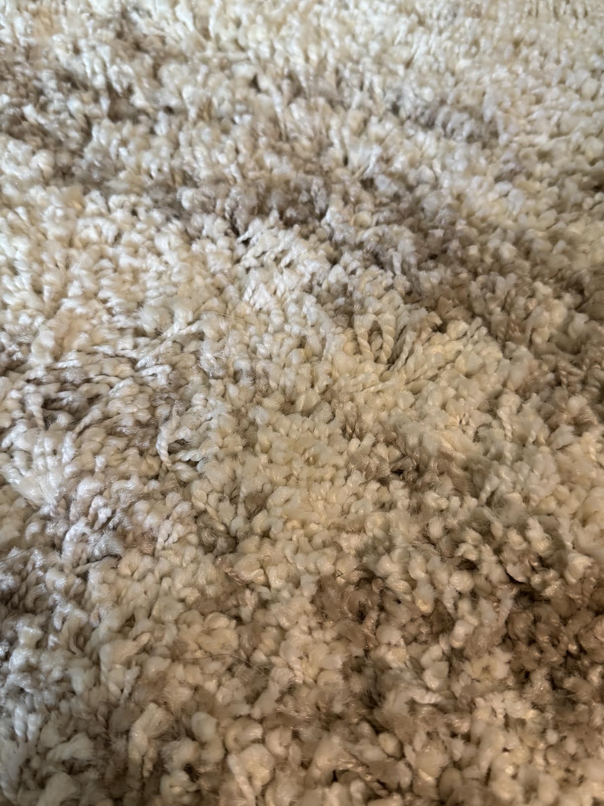 SAFAVIEH Hudson Shag Collection Area Rug - 9' x 12', Ivory & Beige, Modern Design, Non-Shedding & Easy Care, 2-inch Thick Ideal for High Traffic Areas in Living Room, Bedroom (SGH206B) customer photo 1