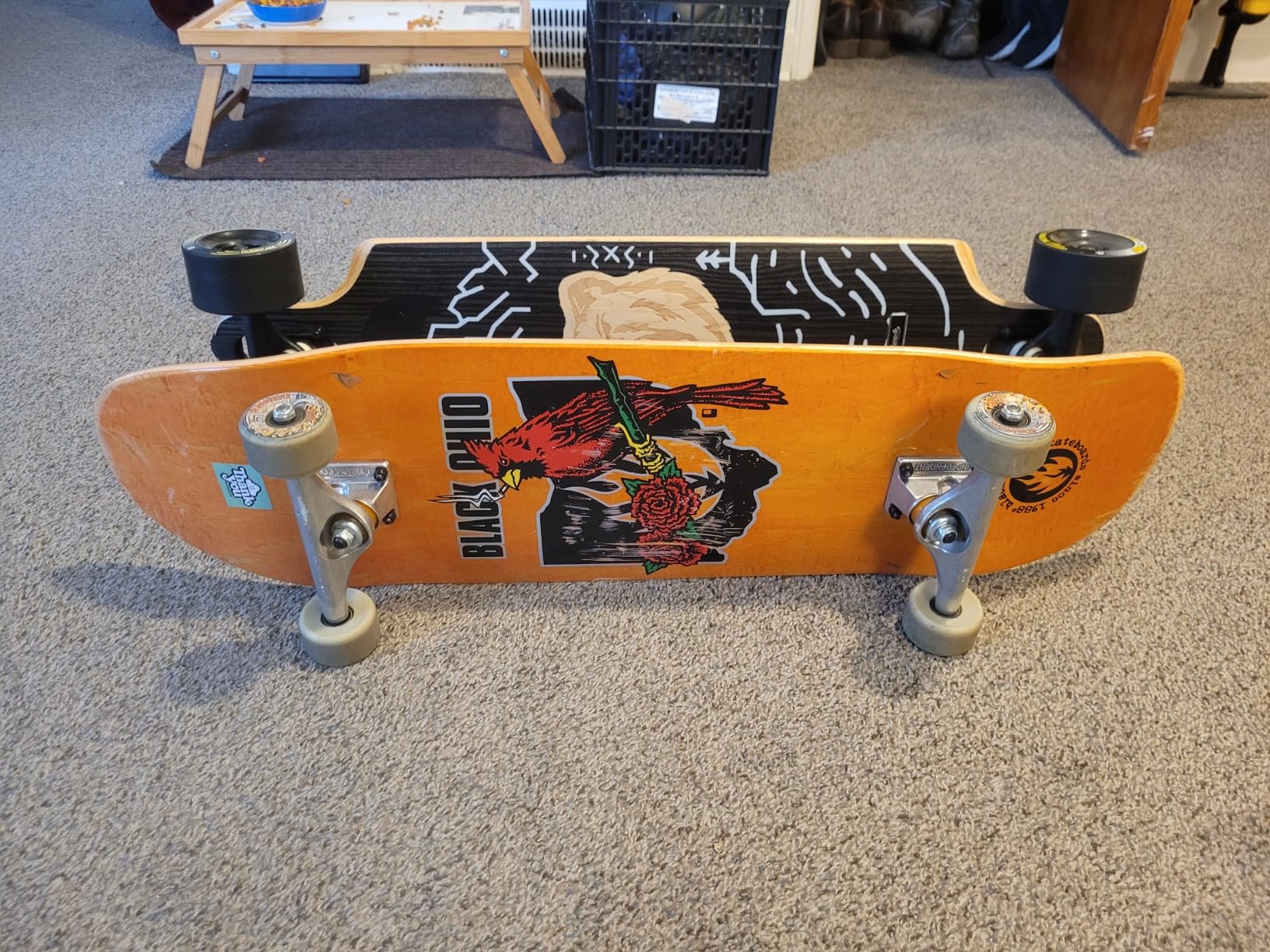 DB Longboards Long Distance Pushing Commuter (LDP) - Great for Cruising and Carving customer photo 1