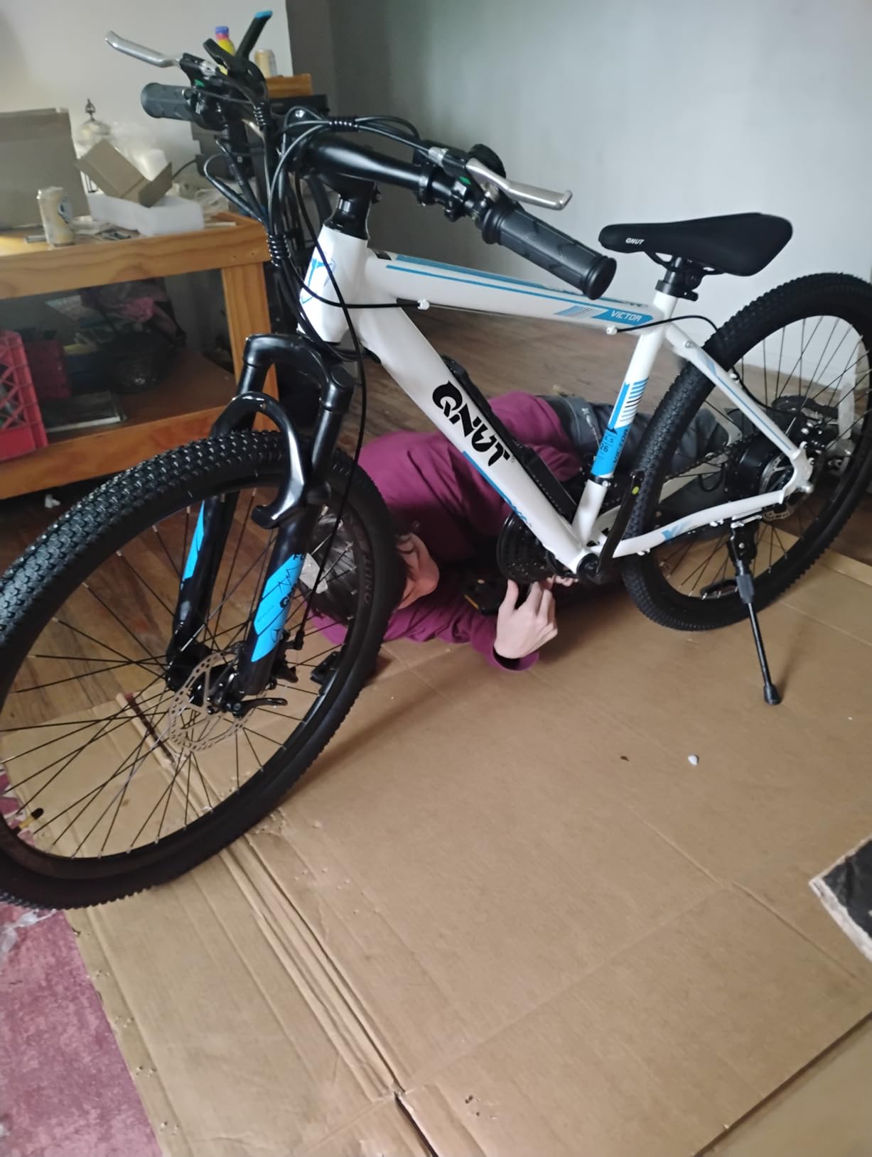 Totem Electric Bike for Adults, 750W Peak 26