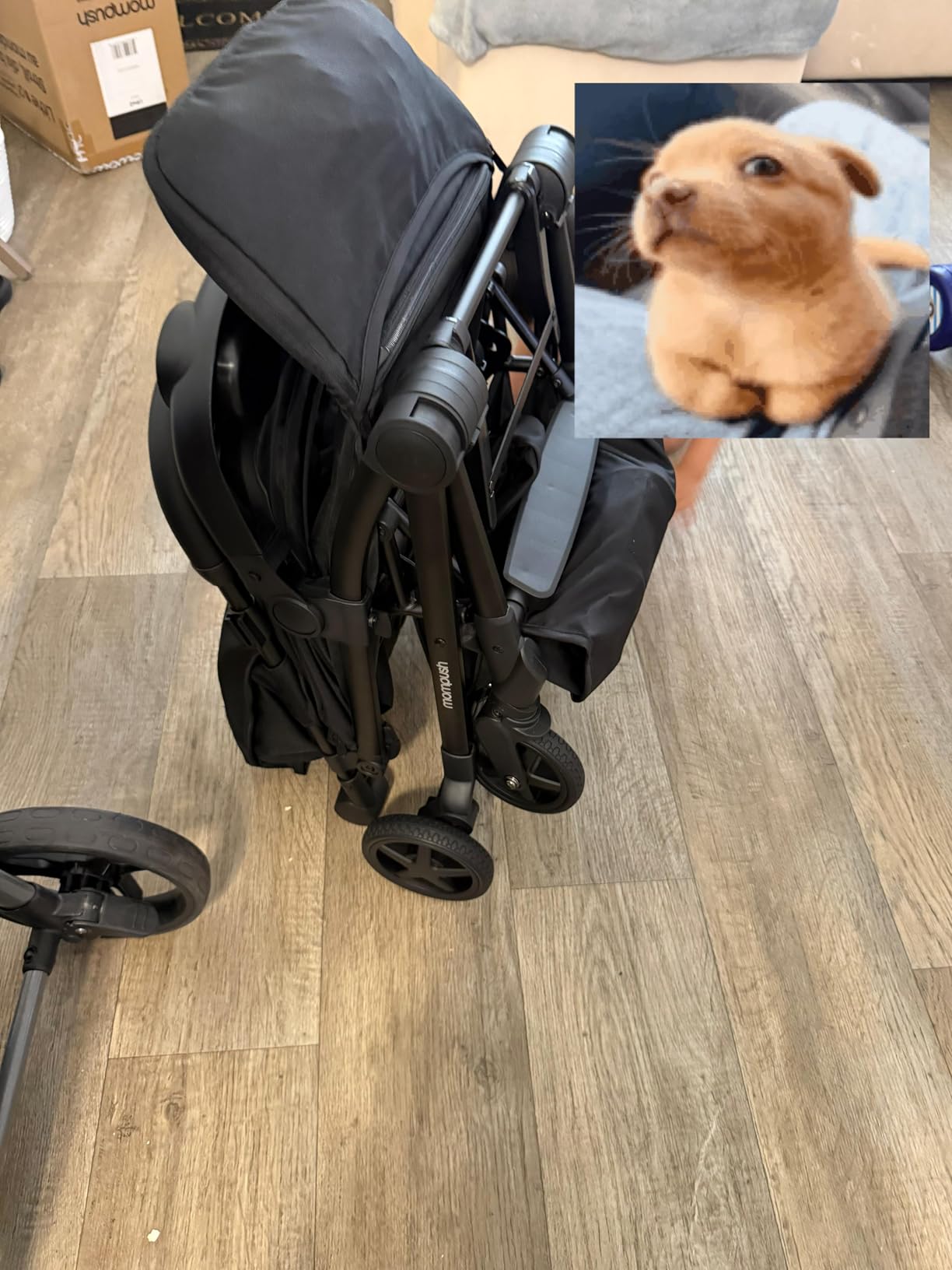 Mompush Lithe V2 Lightweight Travel Stroller, Compact Foldable Baby Stroller with Travel Bag, One-Hand Fold Stroller, Snack Tray, Mechanical Recline Seat, Airplane-Ready, UPF 50+ Canopy & Rain Cover customer photo 1