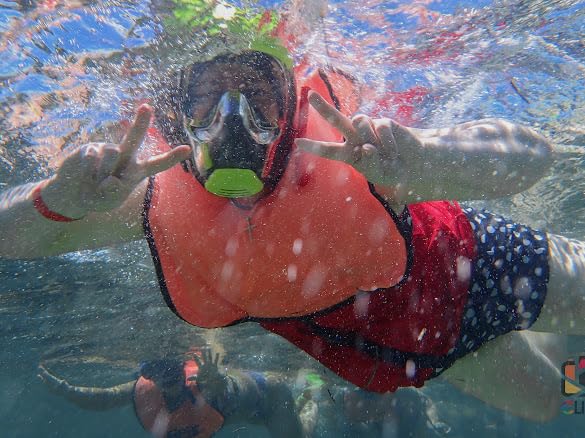 Seaview 180 V3 Full Face Snorkel Mask Adult - The V3 is The Perfect Snorkeling Gear for Adults - Snorkel Mask with 180 Panoramic Viewing and Up to 600% Easier Breathing- Patented Flowtech Air Intake customer photo 2