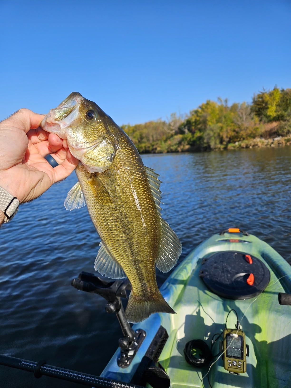 Pelican Catch Classic Angler Sit-on-Top Fishing Kayak customer photo 2