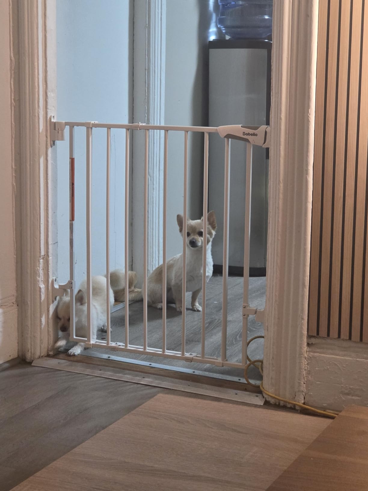 Babelio Baby Gate for Stairs, Kitchen & Doorways, No Bottom Bar| One-Handed Operation| Auto-Close| Hardware Mount (Drill Needed) Safety Dog/Pet Gate (Black - B17, 26-43