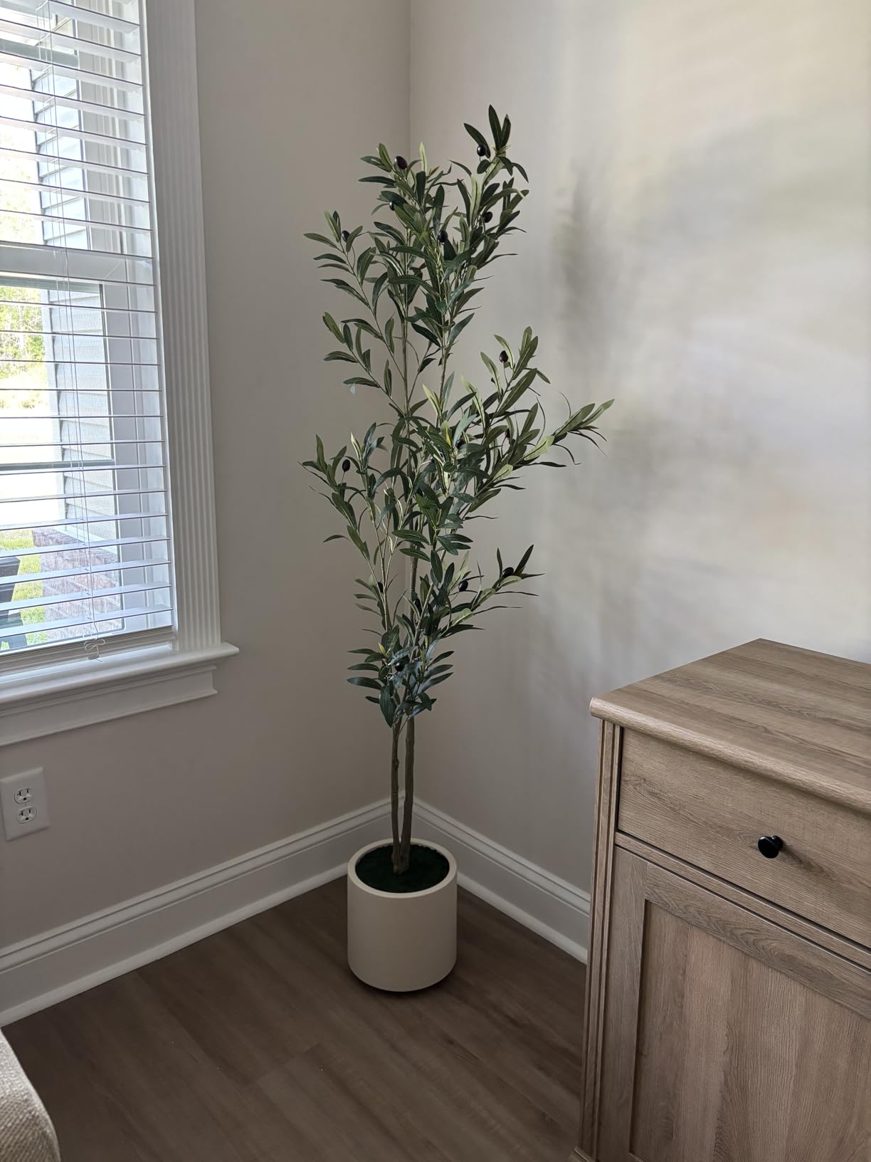 LOMANTO Artificial Olive Trees, 5 ft Tall Fake Olive Trees for Indoor, Faux Olive Silk Tree, Large Olive Plants with White Planter for Home Decor and Housewarming Gift, 1 Pack customer photo 2