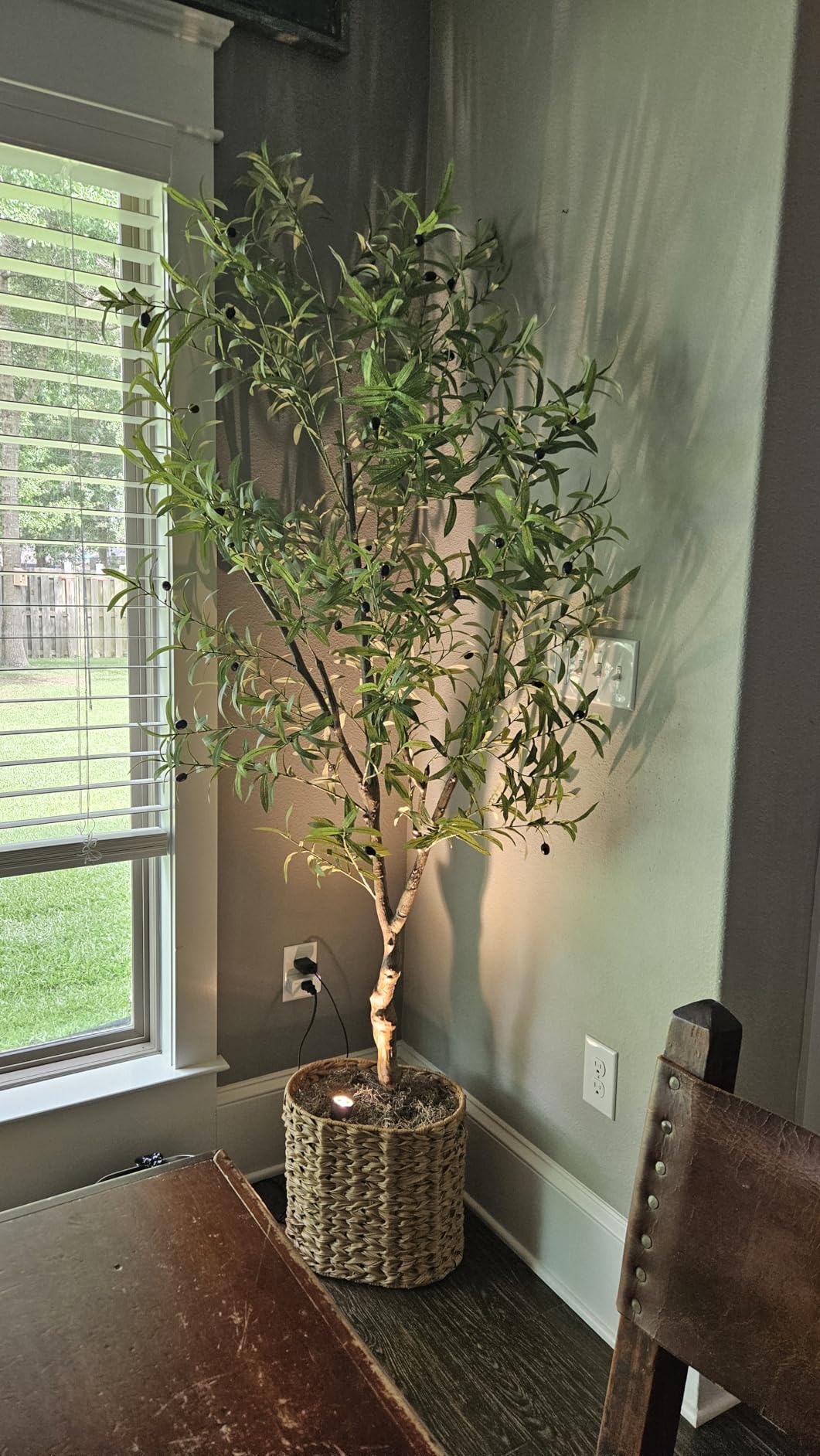 FEELEAD 7ft Faux Olive Tree - Fake Potted Olive Silk Tree with Planter Natural Olive Branches and Realistic Leaves Artificial Tree for Home House Office Decor Indoor customer photo 2