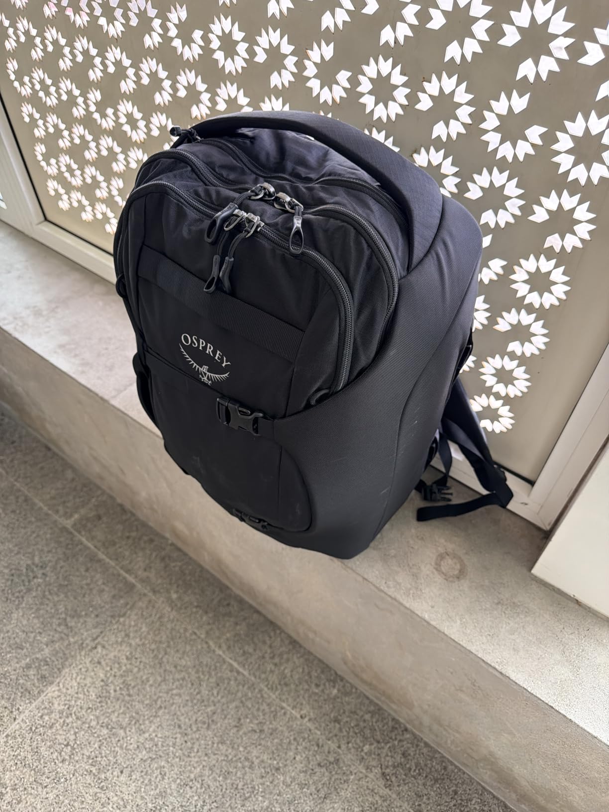 Osprey Sojourn Porter 46L Travel Backpack - Carry-On Compliant Luggage with StraightJacket Compression and Padded Laptop Sleeve, Koseret Green customer photo 1