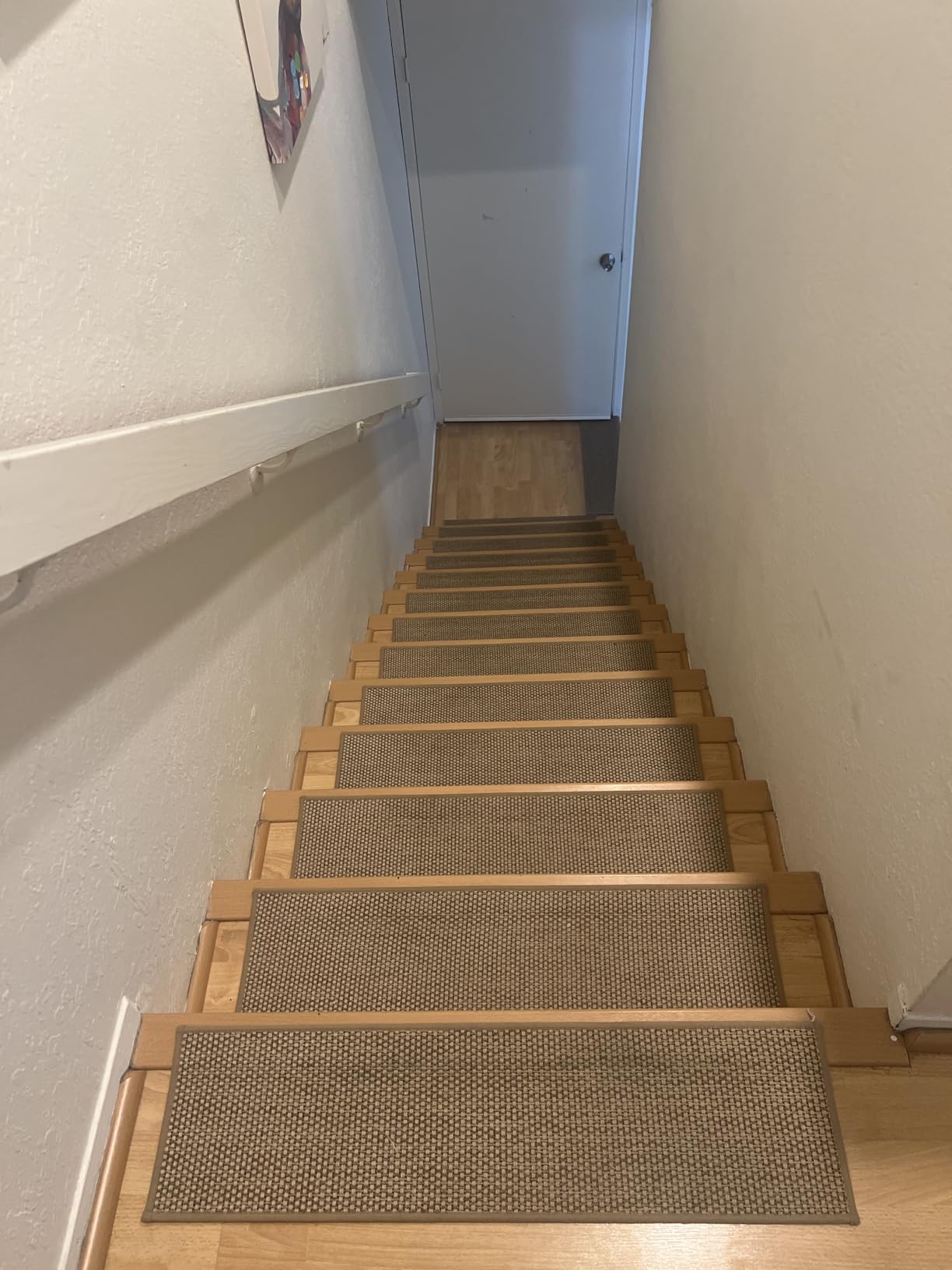 FlowaFoli Stair Treads for Wooden Steps Indoor, 8