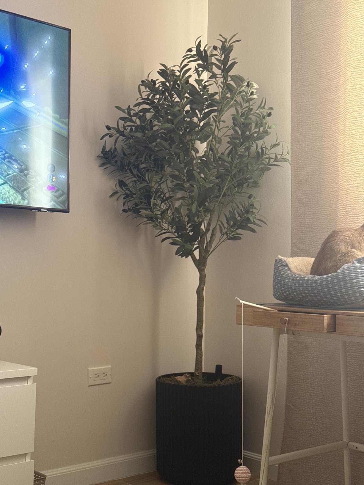 VEVOR Artificial Olive Tree, 5 FT Tall Faux Plant, Secure PE Material & Anti-Tip Tilt Protection Low-Maintenance Plant, Lifelike Green Fake Potted Tree for Home Office Warehouse Decor Indoor Outdoor customer photo 2