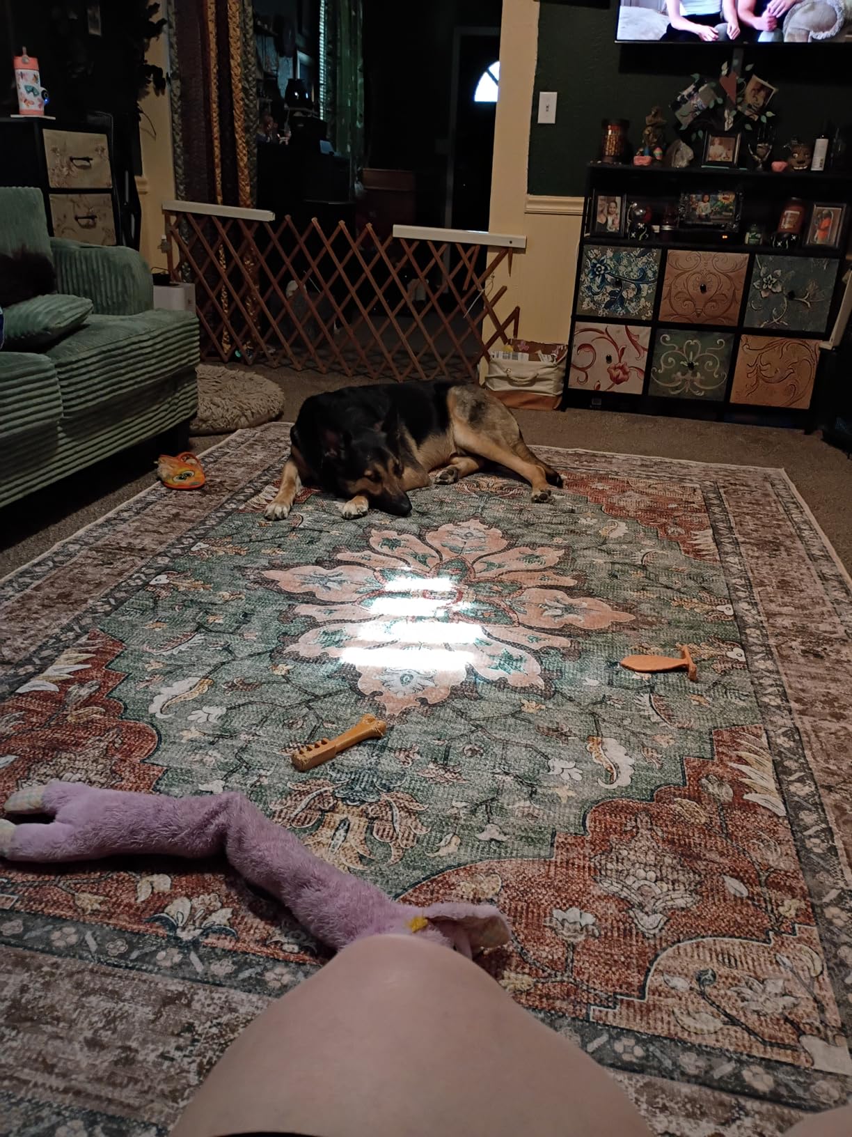 RELEANY Area Rugs 8'x10' Washable Non-Slip, Floral Vintage Distress Medallion Carpet for Living Room Bedroom Dining Room, Terracotta Burnt Orange Green customer photo 1