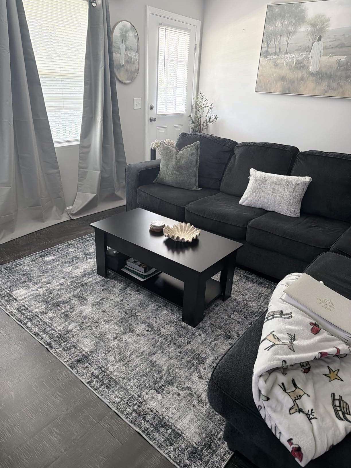 CHAMPLANT Washable Vintage Area Rug 6'x9' Boho Beige Blue Chic Medallion Distressed Design Non-Shedding Easy Care Ideal for High Traffic Areas in Living Room Bedroom Kitchen Office Large Carpet customer photo 1