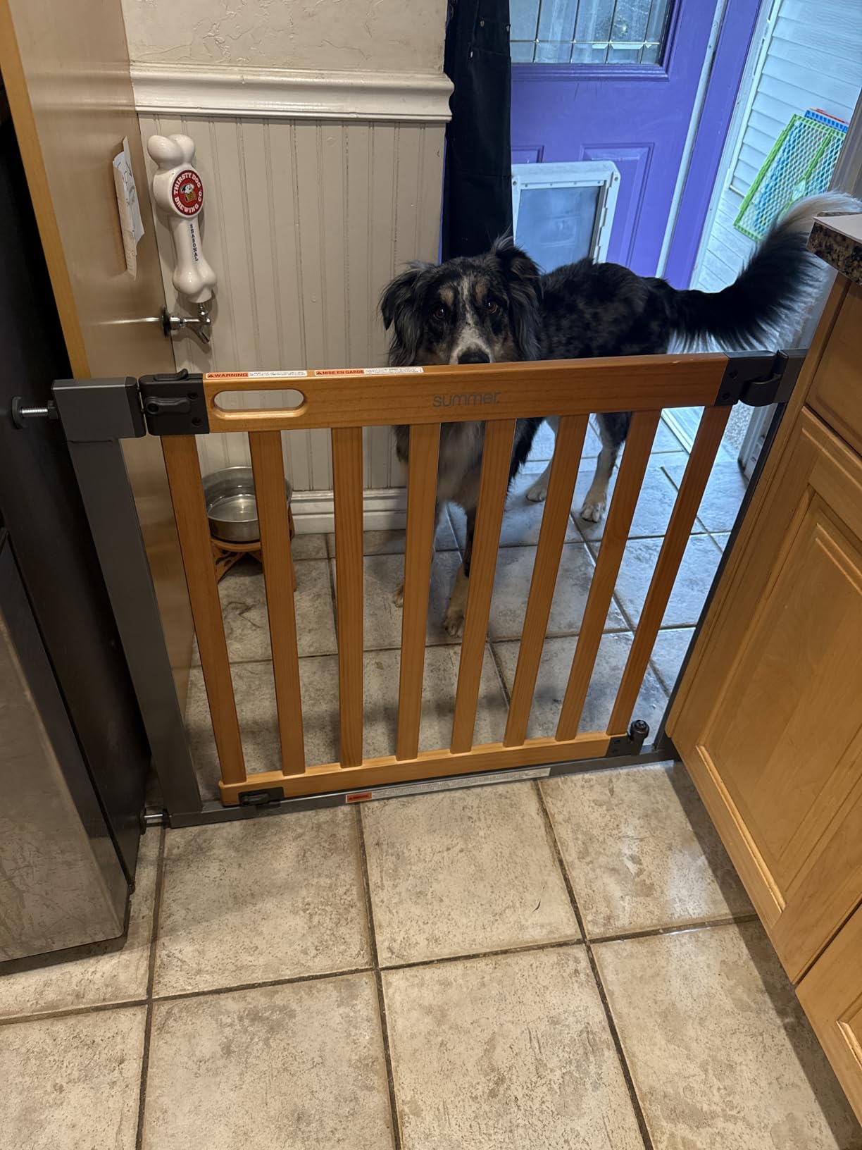 Ingenuity Thruway 60XW Series Extra Wide Safety Pet & Baby Gate, 30