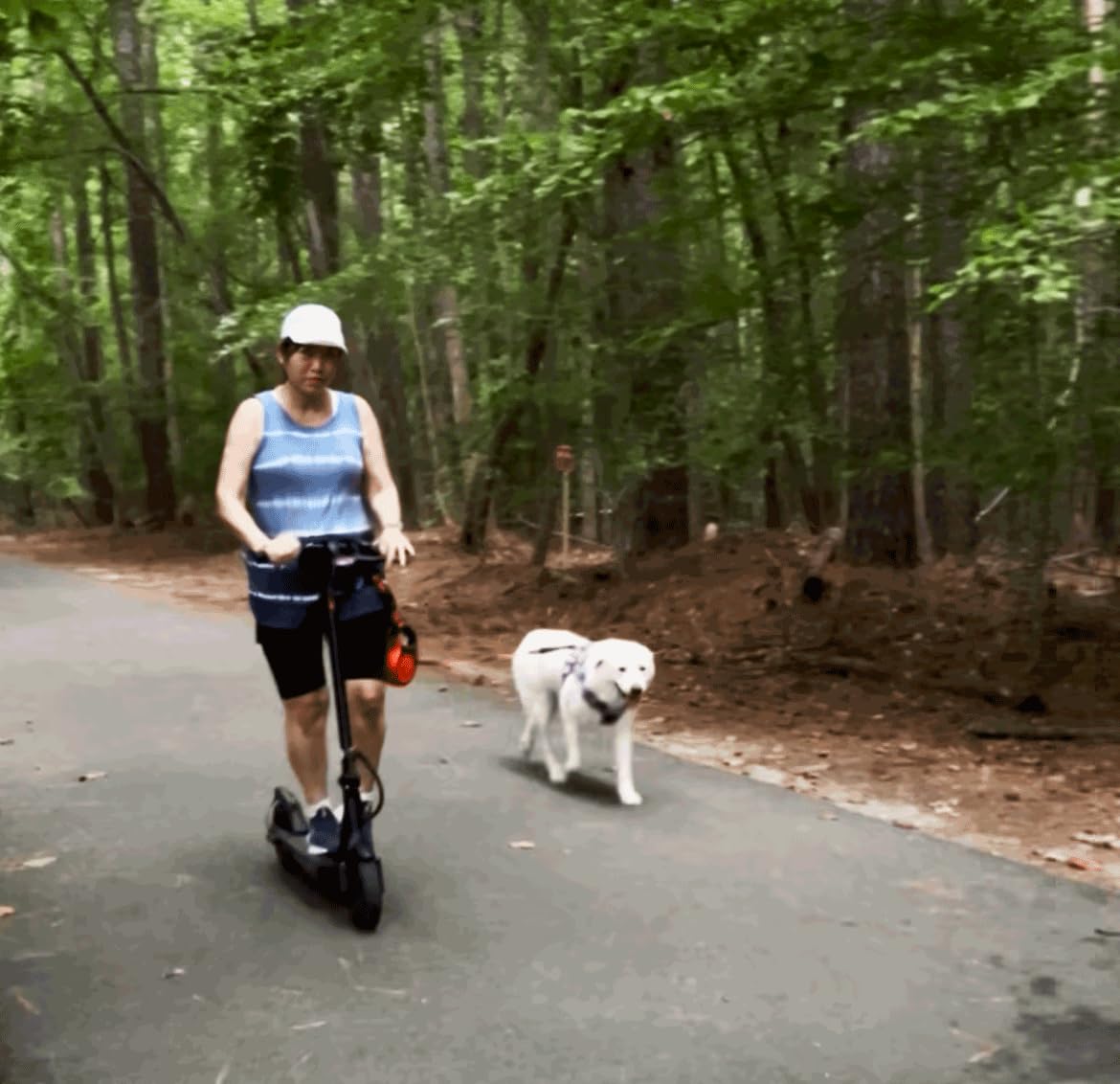 iScooter Electric Scooter Adults, 18/15/12 Miles Long Range, 22/19/18 Mph Top Speed, Commuting Electric Scooter with Cruise Control, Double Braking Systems Escooter for Adults and Teens customer photo 2