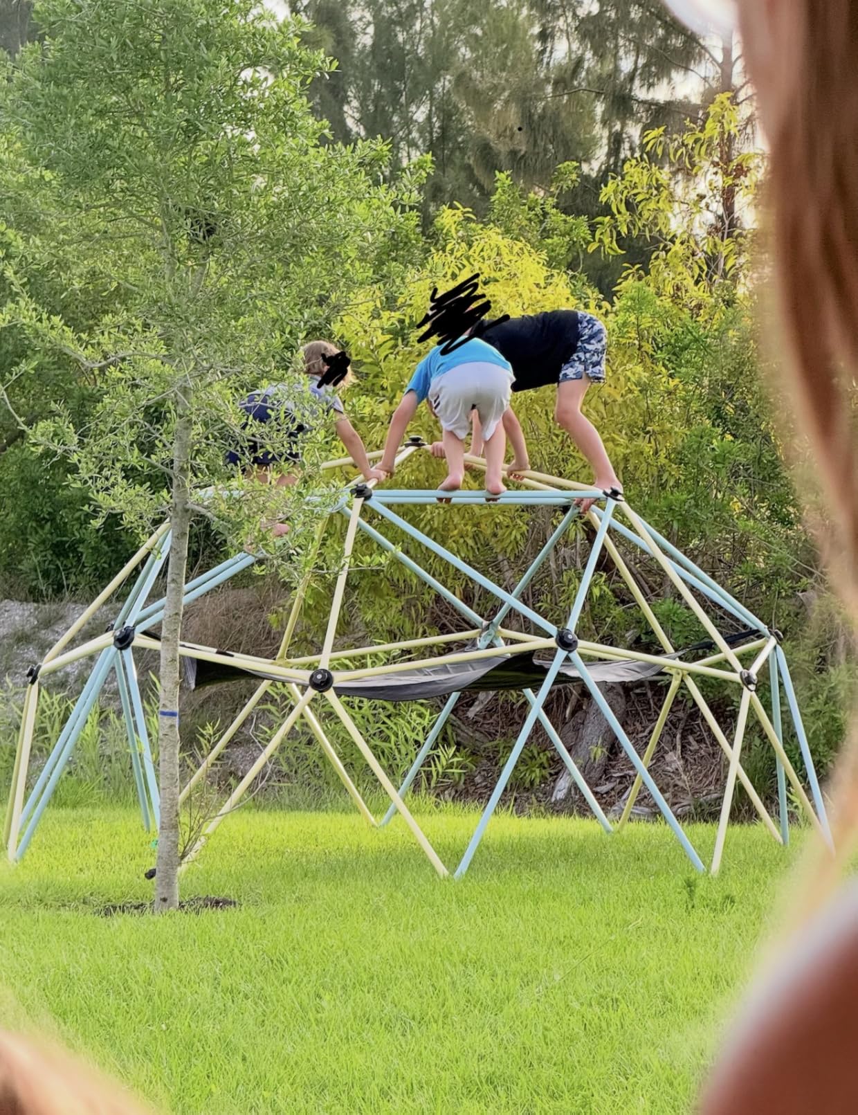 VEVOR Climbing Dome, 10FT Geometric Dome Climber with Hammock and Swing, Jungle Gym Supports 750LBS and Easy Assembly for Kids 3 to 10 Years Old customer photo 2