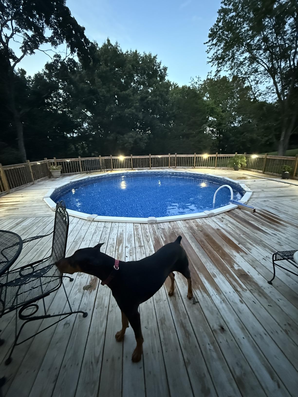 Saltwater Pool System, Westaho Salt Chlorine Generator with USA Titanium Cell for Above Ground Pools Up to 15,000 Gallons, Compatible with Intex Pool, IP 66 Waterproof customer photo 2