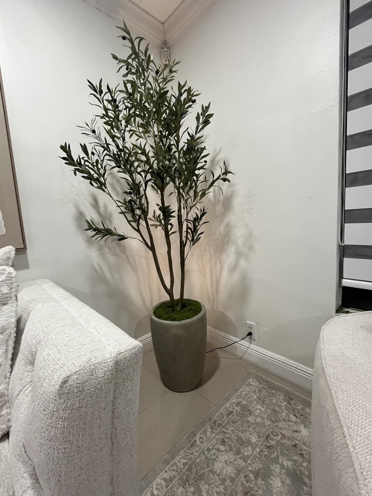 VIVATREES Olive Trees Artificial Indoor, 5FT Tall Faux Olive Tree with White Tall Planter, Artificial Plants with Natural Wood Trunk and Lifelike Fruits for Home Office Decor customer photo 1