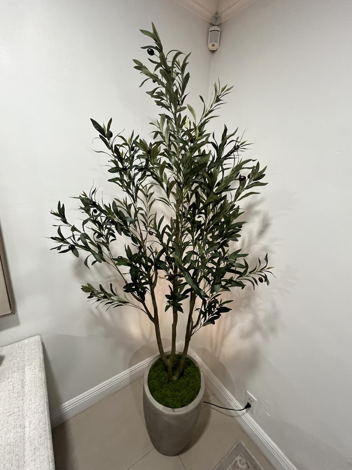 VIVATREES Olive Trees Artificial Indoor, 5FT Tall Faux Olive Tree with White Tall Planter, Artificial Plants with Natural Wood Trunk and Lifelike Fruits for Home Office Decor customer photo 2