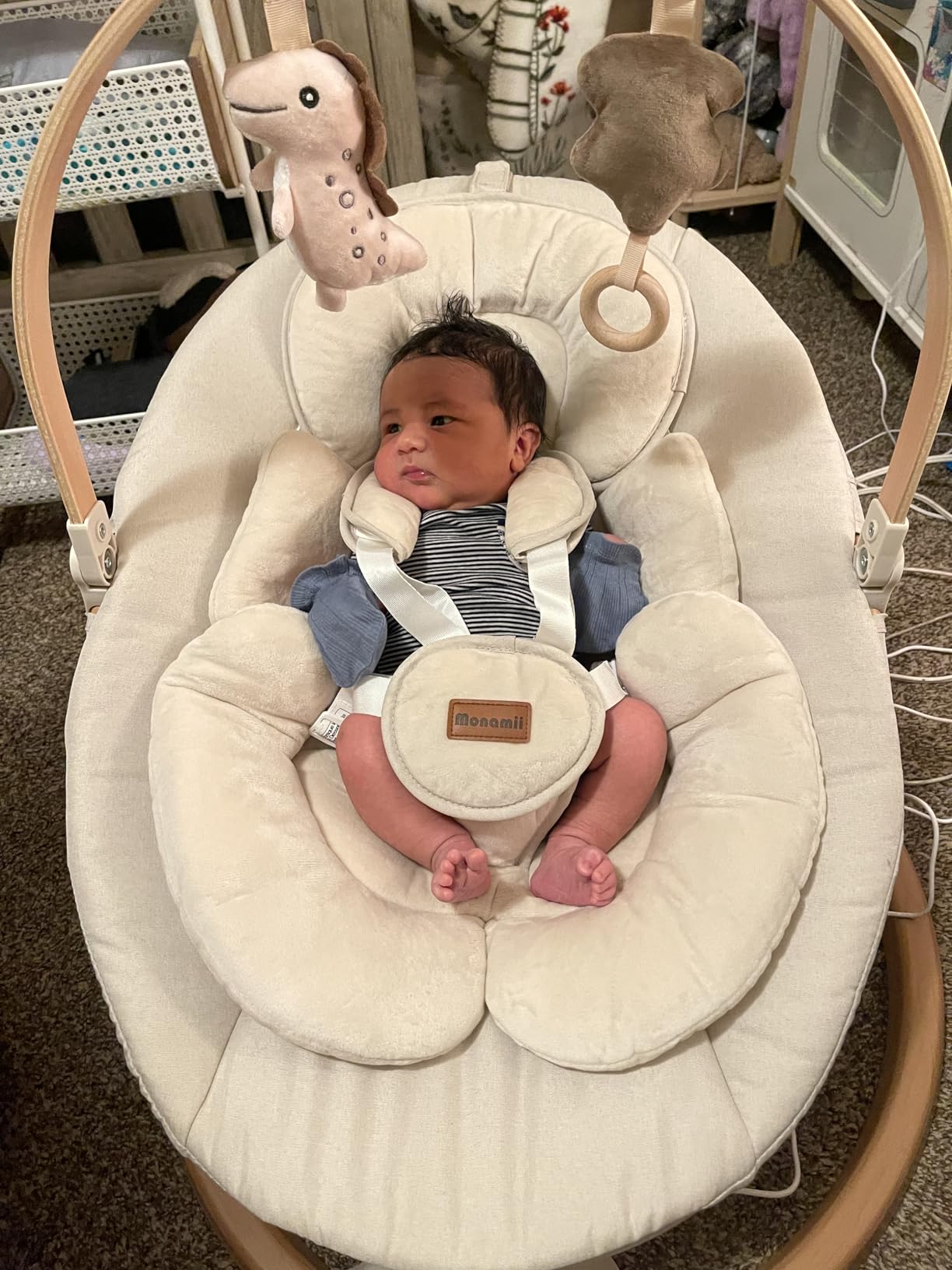 Baby Swings for Infants, Monamii Baby Swing, Bluetooth Infant Swing with Music Speaker, 5 Speeds and Remote Control, Indoor & Outdoor Use (Beige) customer photo 1