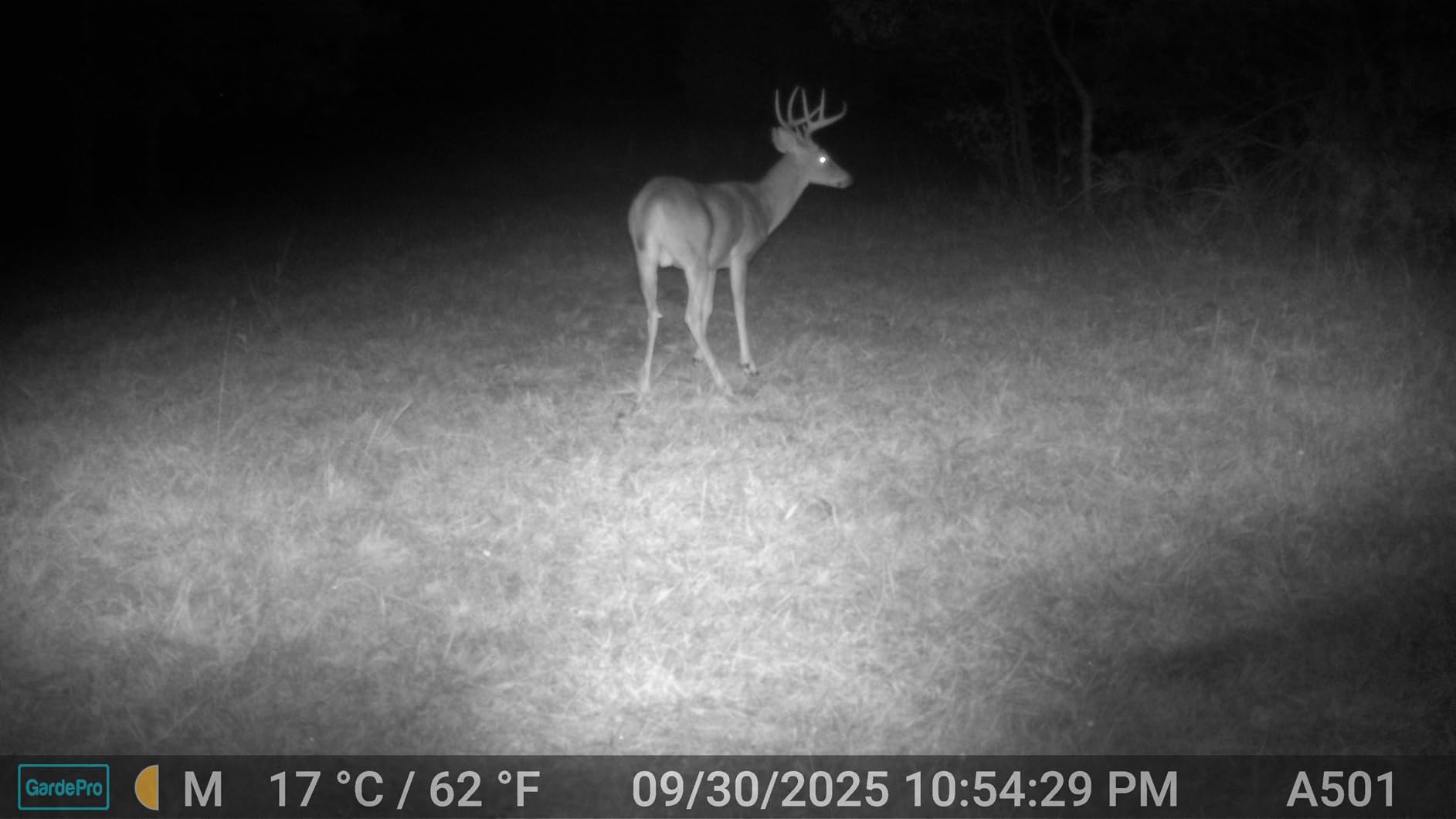GardePro A50 Trail Camera (Non-Cellular, Non-WiFi), Enhanced Low-Light Performance, True 4K Video, 0.1s Trigger, 100ft No-Glow Night Vision, Motion Activated Wildlife Camera customer photo 2