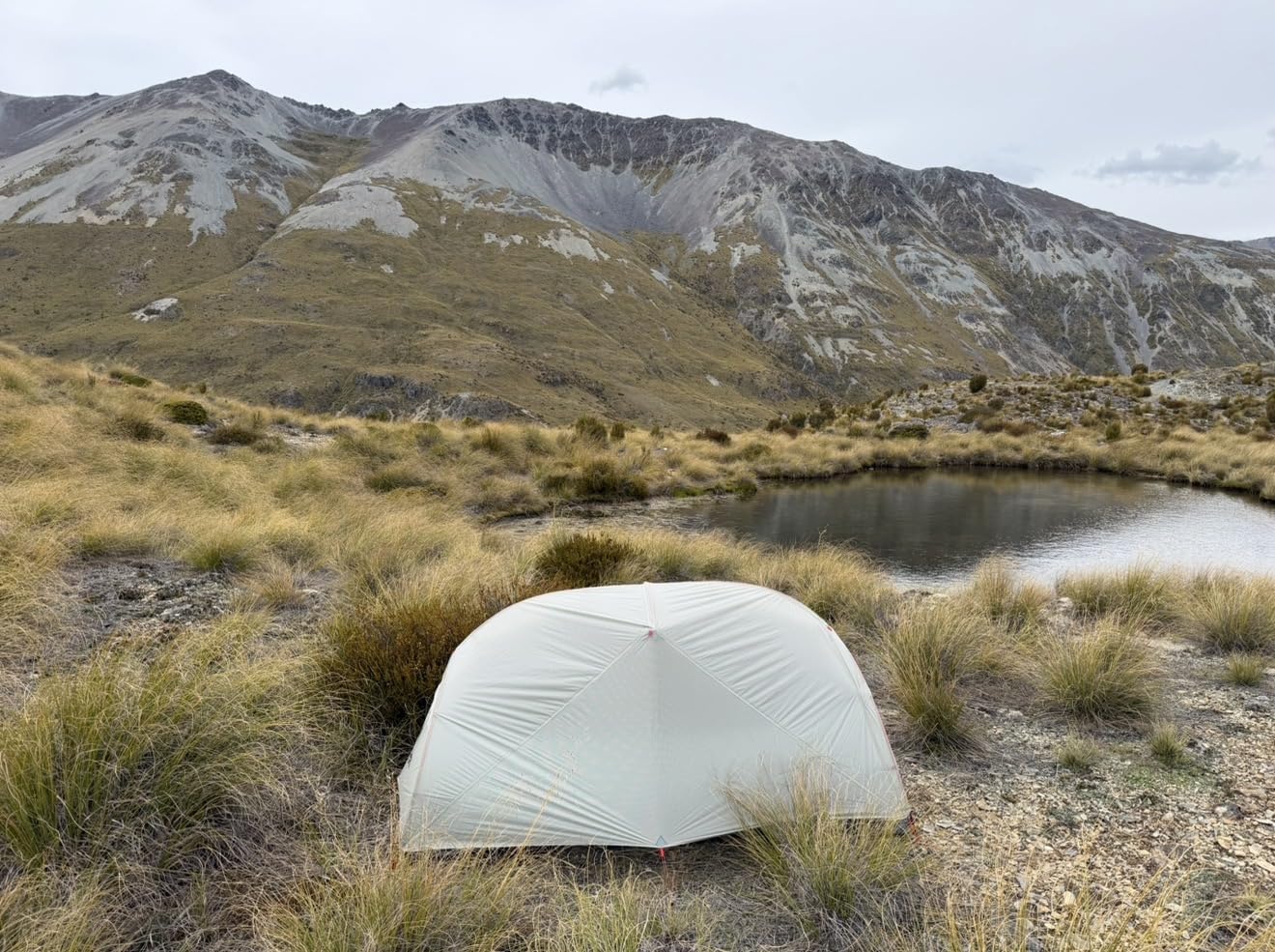 MSR Hubba Hubba LT 1-Person Lightweight Backpacking Tent customer photo 1
