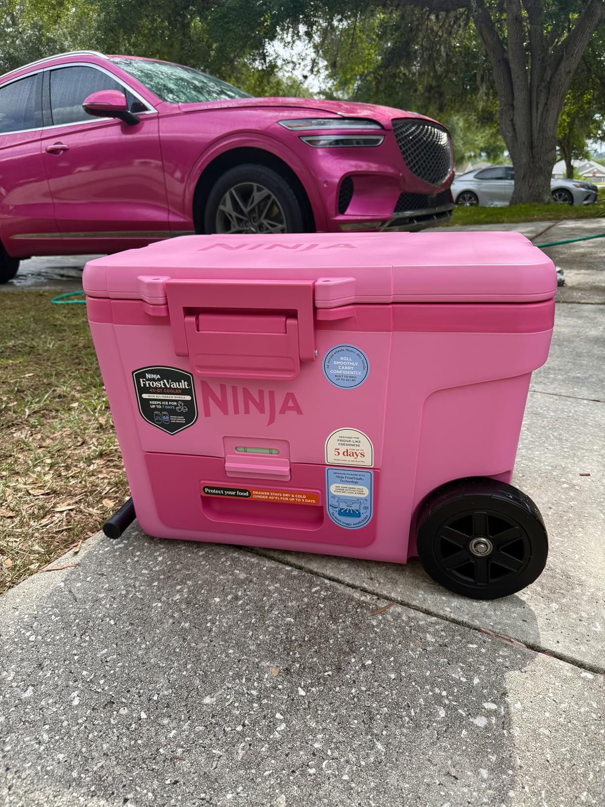 Ninja | FrostVault 65QT | Insulated with Temp Dry Storage Drawer | Keeps Ice Cold for Days | for the Beach, Camping, Picnics & More | Lakeshore Blue | FB265BL customer photo 1