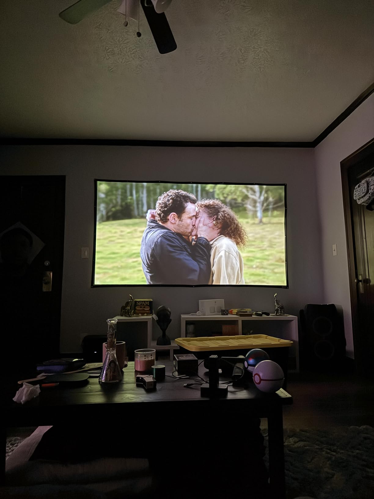 FUDONI Projector with WiFi and Bluetooth, 320 ANSI Native 1080P Outdoor Movie Projector, Electric Focus, Auto 6D Keystone customer photo 2