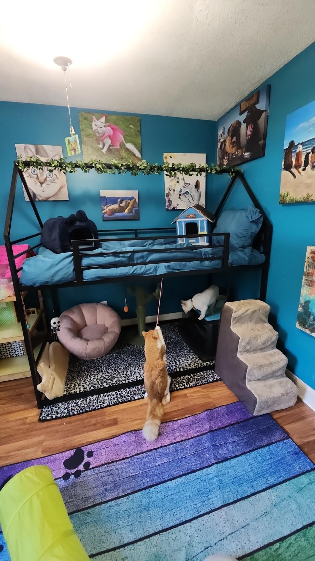 LIKIMIO Bunk Bed Twin Over Twin, House Bunk Bed Frame with Ladder and Guardrail, House Shaped with Metal Slats for Dormitory and Bedroom, Space Saving, No Box Spring Needed, White customer photo 1