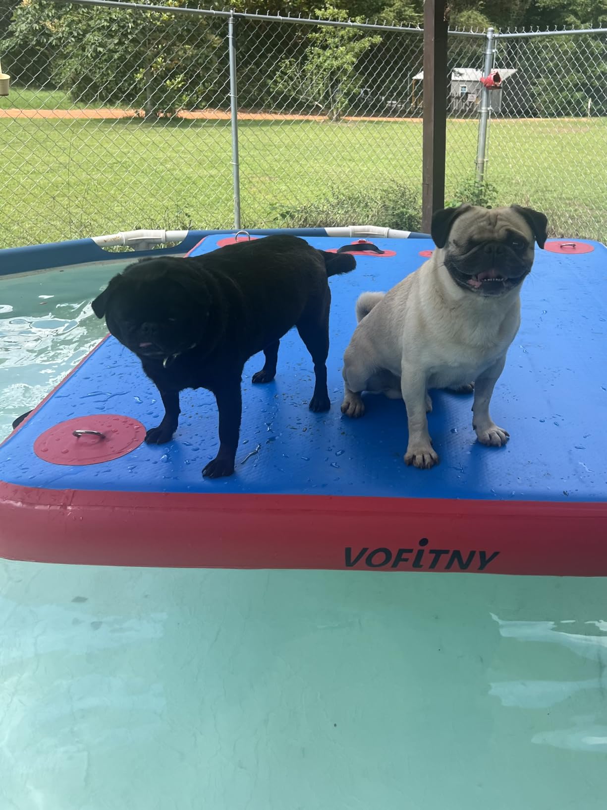 VOFiTNY Inflatable Floating Dock, Swim Platform Floating Dock for Lakes, Lake Floats for Adults, Island Raft Mat for Lake Beach Ocean, Non-Slip Surface customer photo 2