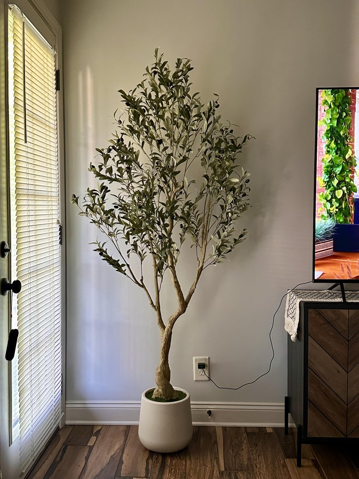 Realead 6ft Artificial Olive Tree with Tall Exquisite Planter - Realistic Faux Olive Tree with Thick Trunk and Lifelike Fruits - Large Fake Olive Tree for Home Office Decor customer photo 2
