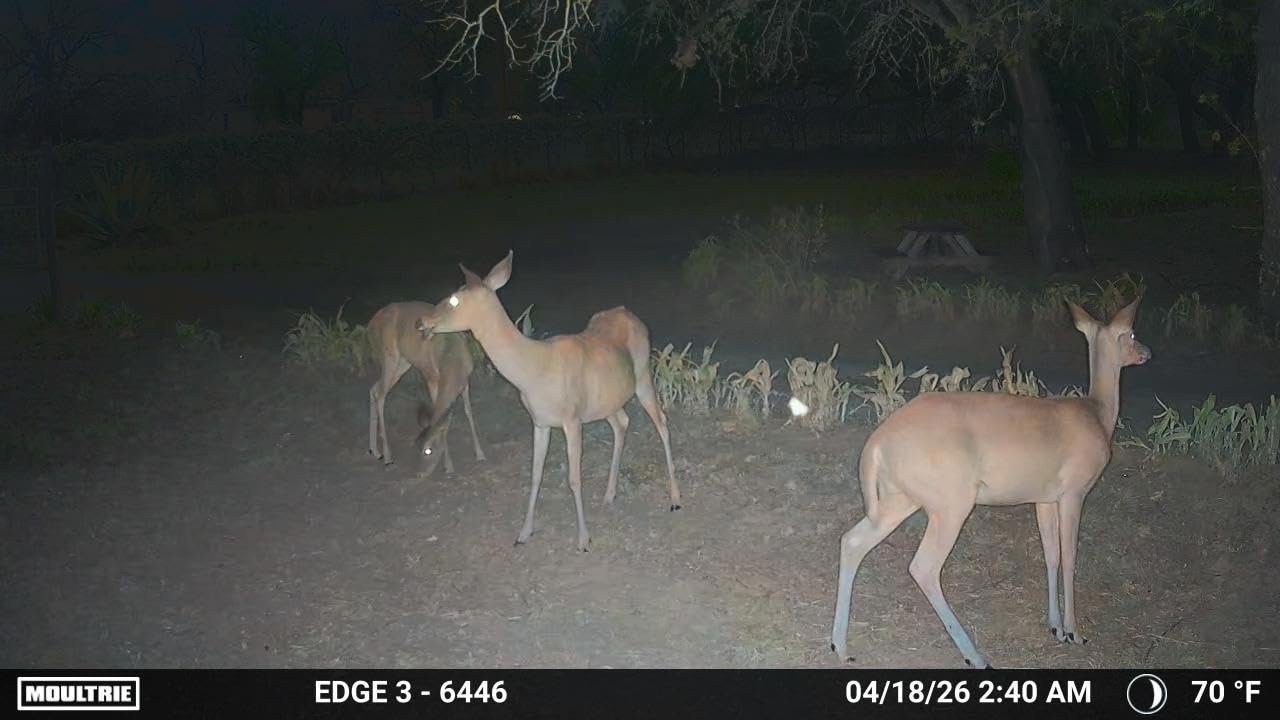 Moultrie Edge 3 Cellular Trail Camera - 40MP HD Photo Capture - 1080p Low-Glow Flash - GPS - Multi-Carrier Auto-Connect - Built-in Memory - 0.5s Trigger Speed - AI Buck Detection customer photo 2