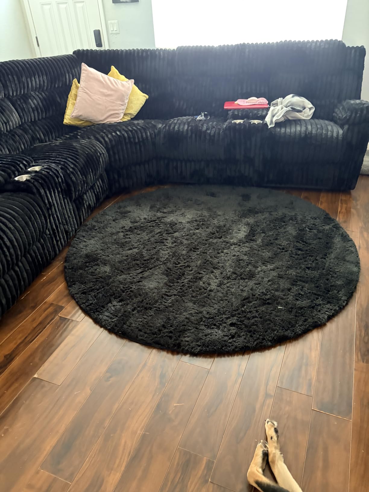 Ophanie 8x10 Area Rugs for Living Room, Washable Non-Slip Fluffy Soft Large Shag Bedroom Carpet, Ivory Big Indoor Nursery Rug, Carpets for Boy and Girls Room Dorm Home Decor Aesthetic customer photo 1