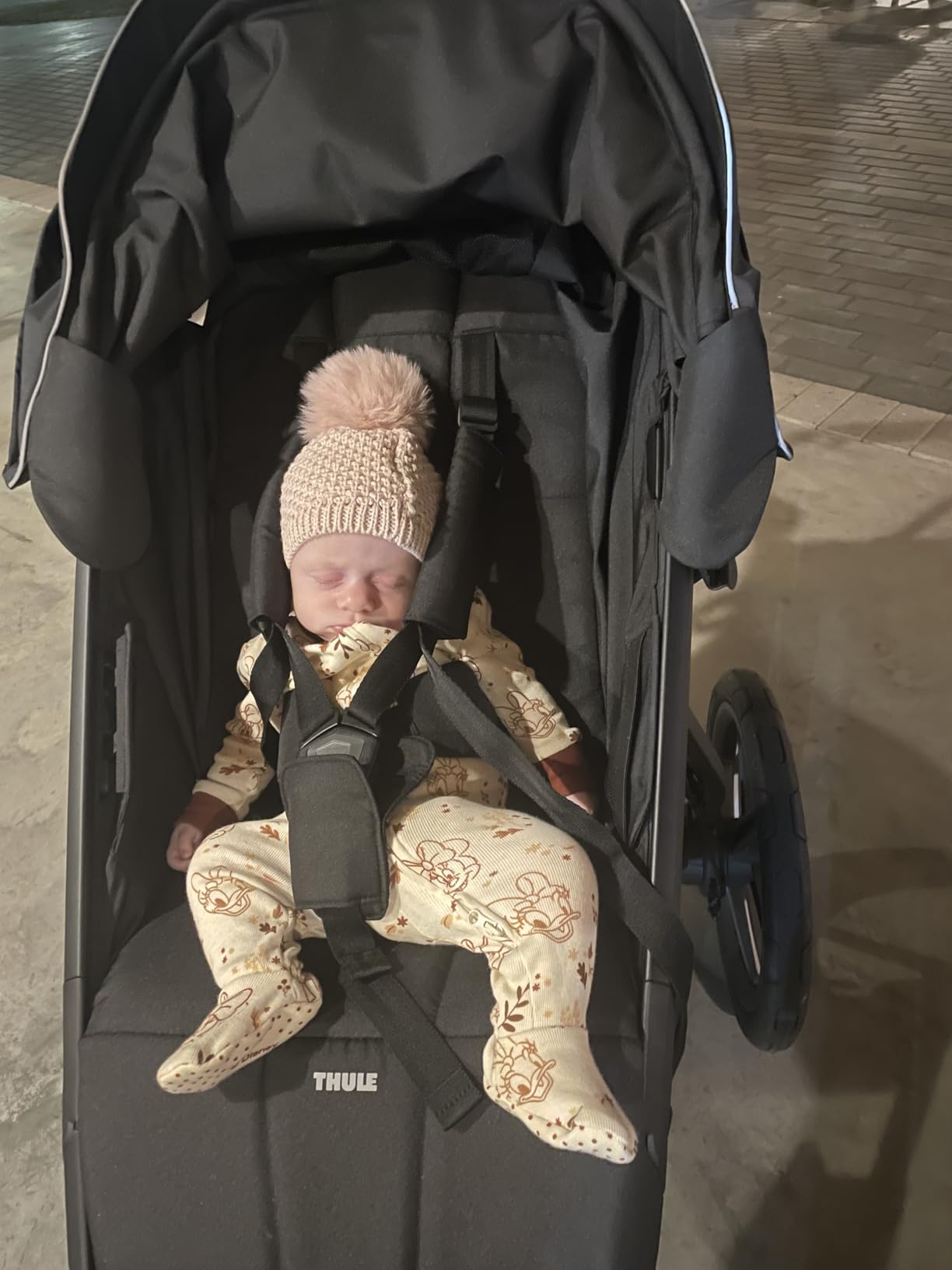 Thule Urban Glide 3 Double Child All-Terrain Stroller, Lightweight, Air-Filled Tires & Suspension, Integrated Hand Brake customer photo 2