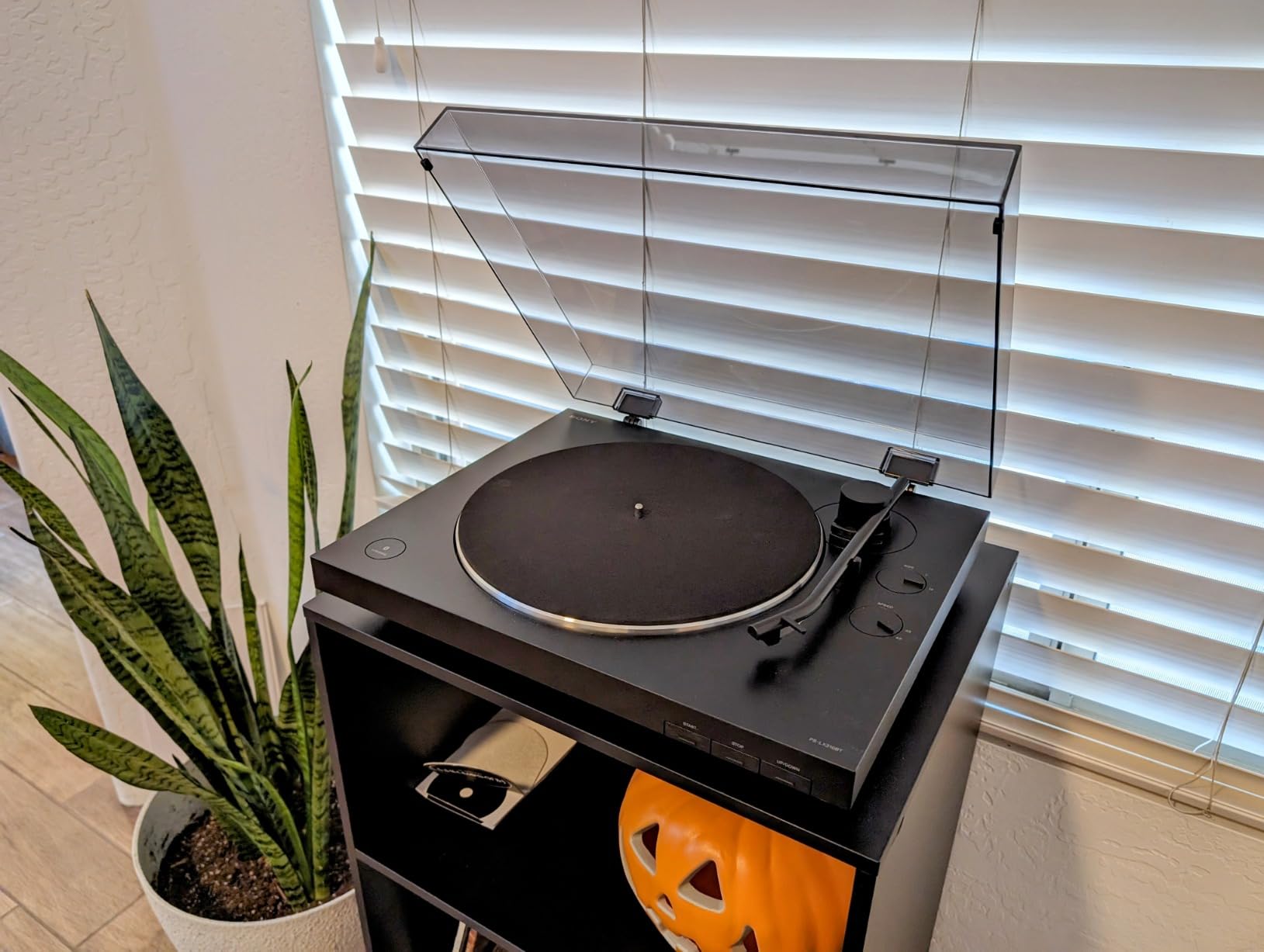 Sony PS-LX3BT Wireless Bluetooth Turntable (2026 Model): Fully Automatic Belt Drive Vinyl Record Player with Built-in Phono EQ, Black customer photo 1