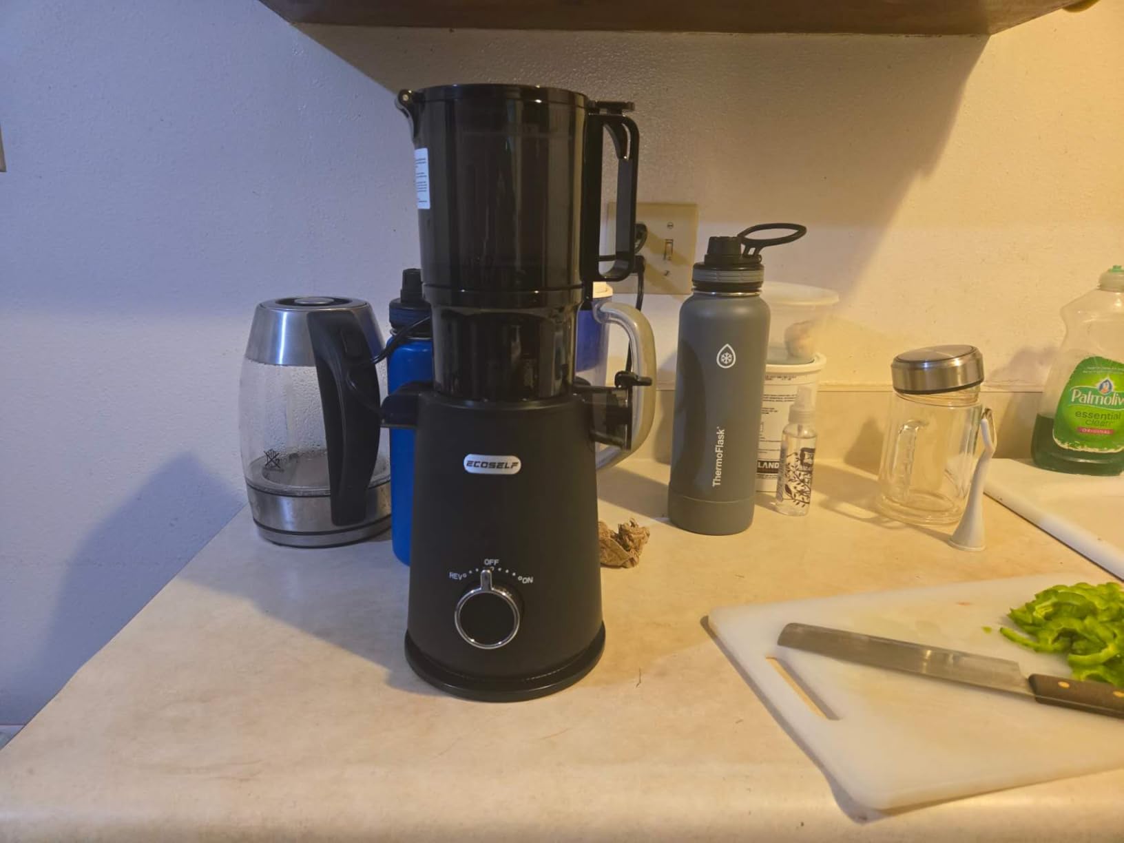 ECOSELF Cold Press Juicer - Wide Mouth Hopper for Fruits & Vegetables & Leafy Greens - Juicer Machines with Self Feeding - Hands-Free Design - Juice Extractor Machine Easy to Clean With Brush customer photo 2