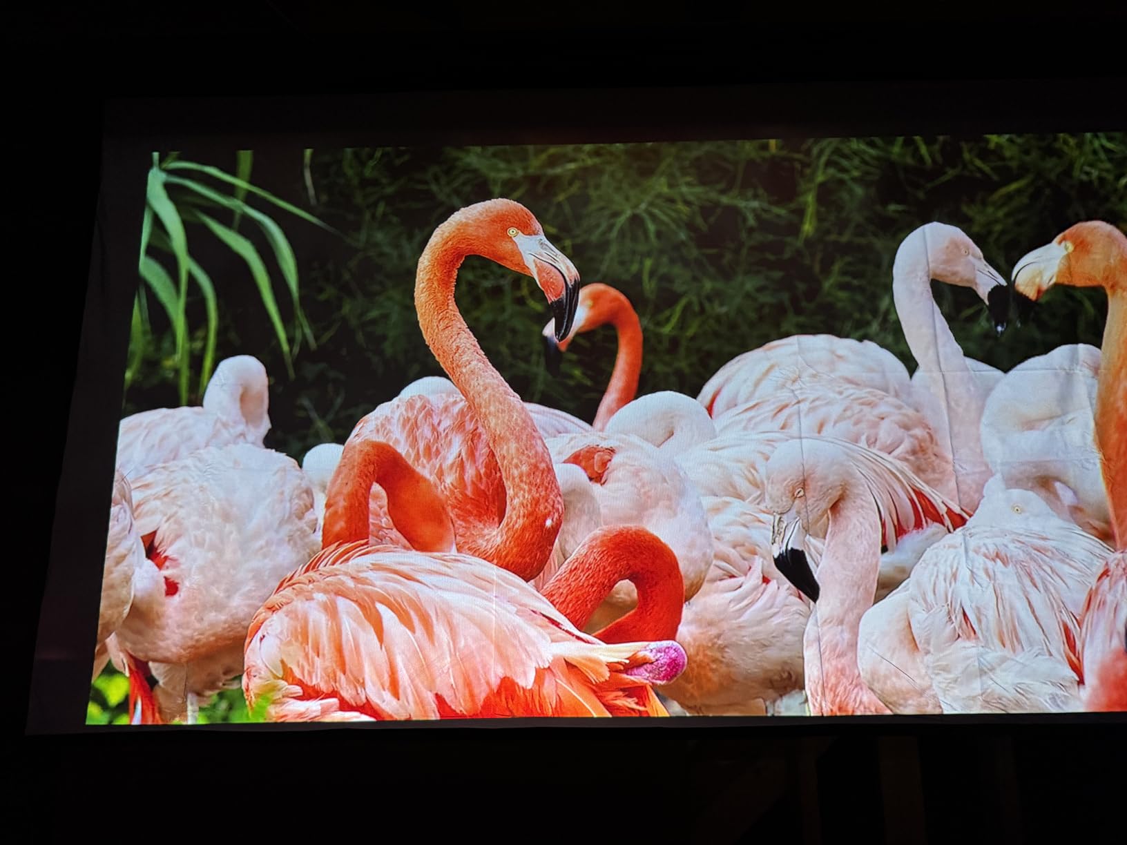 High gain Projector Screen Material - for DIY Frame or Wall Mounted - 2.6X Brightness and High Contrast 30% ALR - 160 inch 2.35:1 White Screen - by SilverMagic customer photo 1