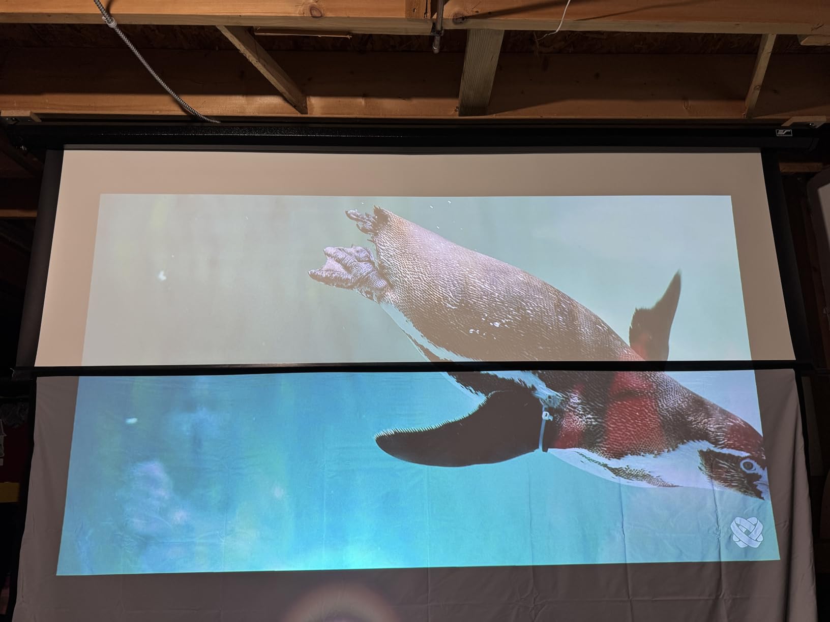 High gain Projector Screen Material - for DIY Frame or Wall Mounted - 2.6X Brightness and High Contrast 30% ALR - 160 inch 2.35:1 White Screen - by SilverMagic customer photo 2