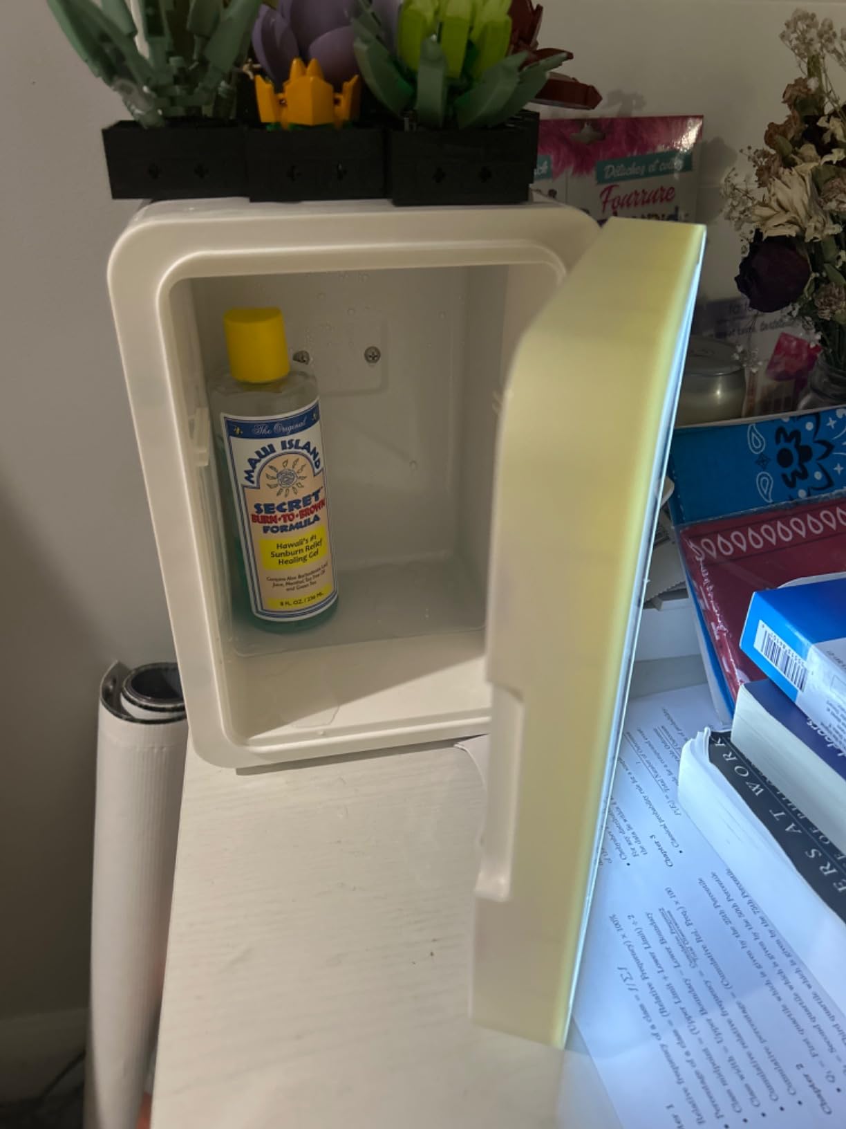 Skincare Fridge - 4L Makeup Fridge for Refrigerating Makeup, Skincare and Food, Mini Fridge for Bedroom, Office and Car, Cooler and Warmer, Pearly White customer photo 2