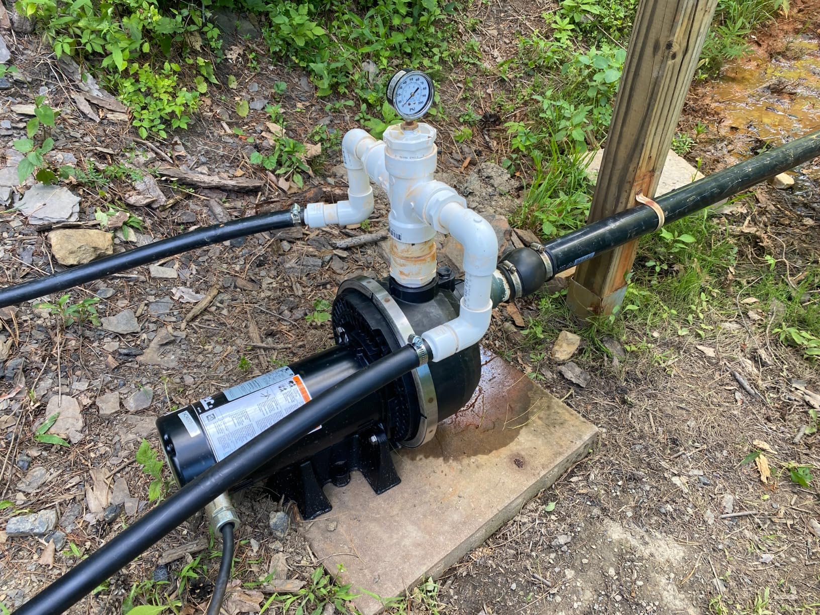 Sta-Rite FP5182-08 Industries 2hp Sprinkler Pump Fp5182-01, No Size, Black customer photo 1