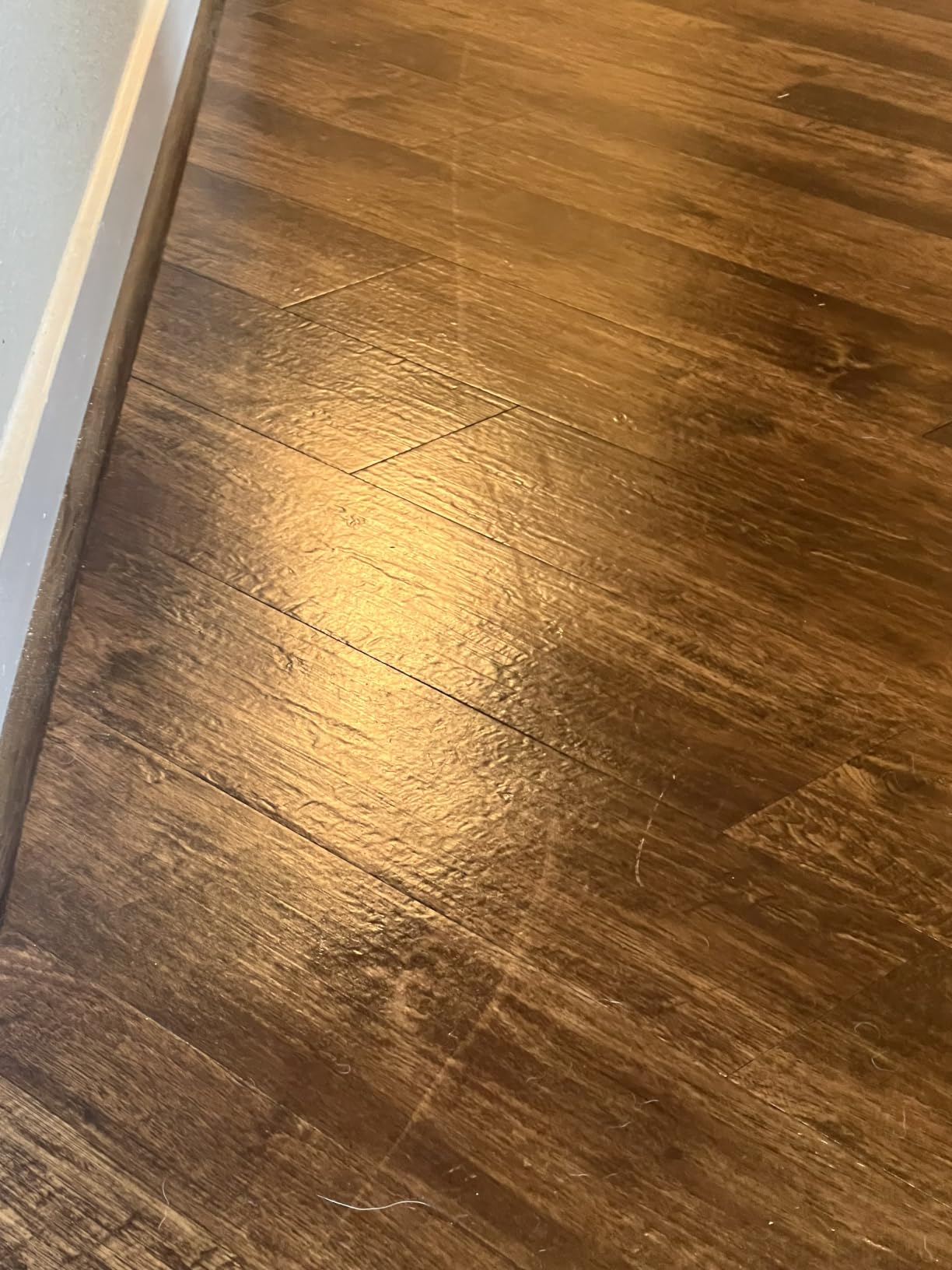 Rejuvenate All Floors Restorer Fills Scratches, Shines And Protects All Floor Types, Including Hardwood, Laminate, Vinyl And Tile, 32 Ounces | 1-Coat Application Fills Scratches, Shines & Protects, Safe on Sealed Hardwood, Laminate, Vinyl, & Tile, Safe For Pets & Kids customer photo 2