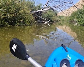 Bending Branches Whisper Kayak Paddle - 2-Piece Aluminum Shaft, Polypropylene Blades, Adjustable 0/60 Degree Feathering, Black Comfort Grips, Dihedral Blade Design for Recreational Paddling customer photo 1