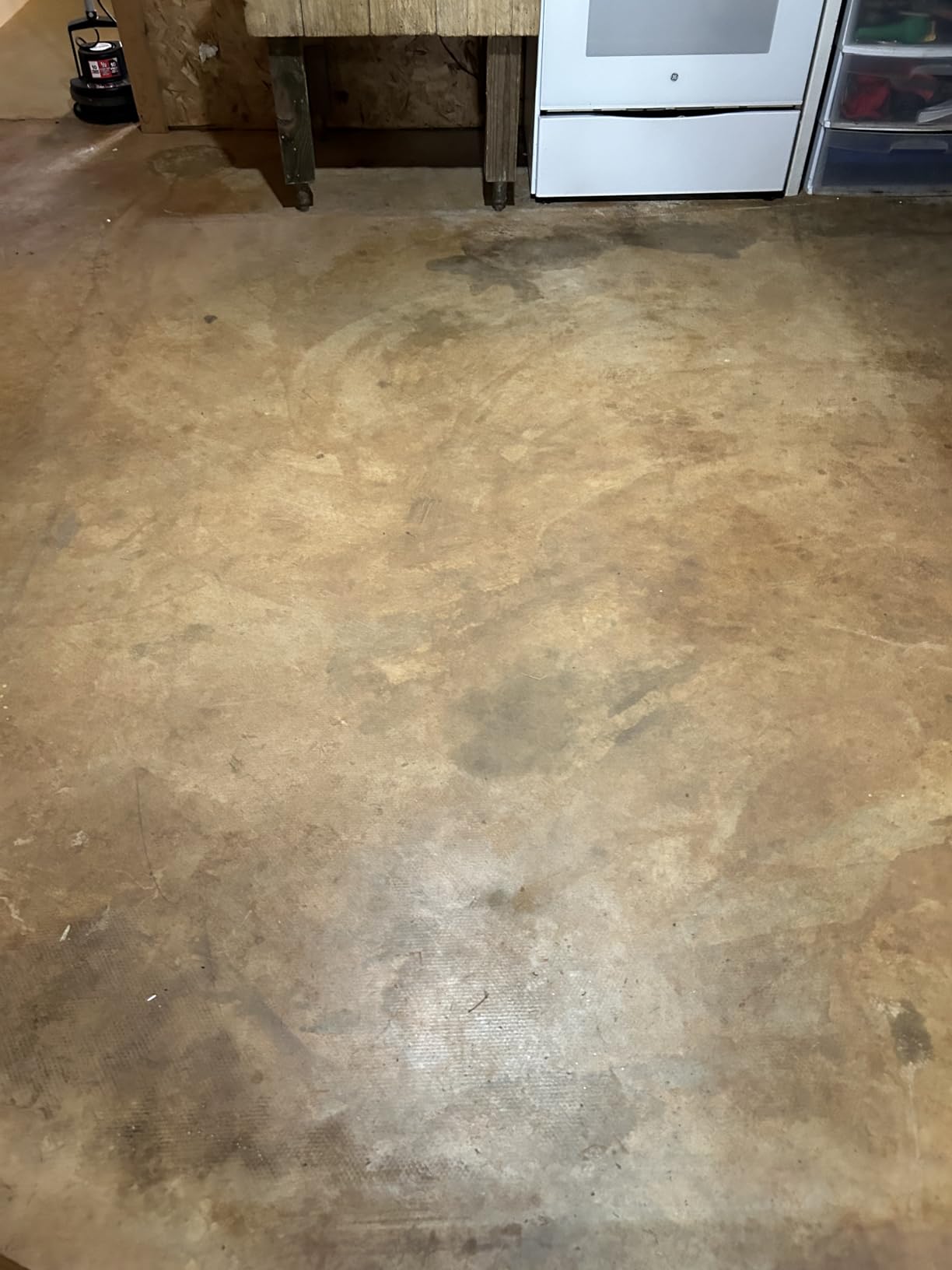 Oreck Orbiter All-In-One Hard Floor Cleaner Machine, For All Flooring Types | Multi Purpose Floor Cleaning Machine, Random Orbit Power for Fingertip Control customer photo 2