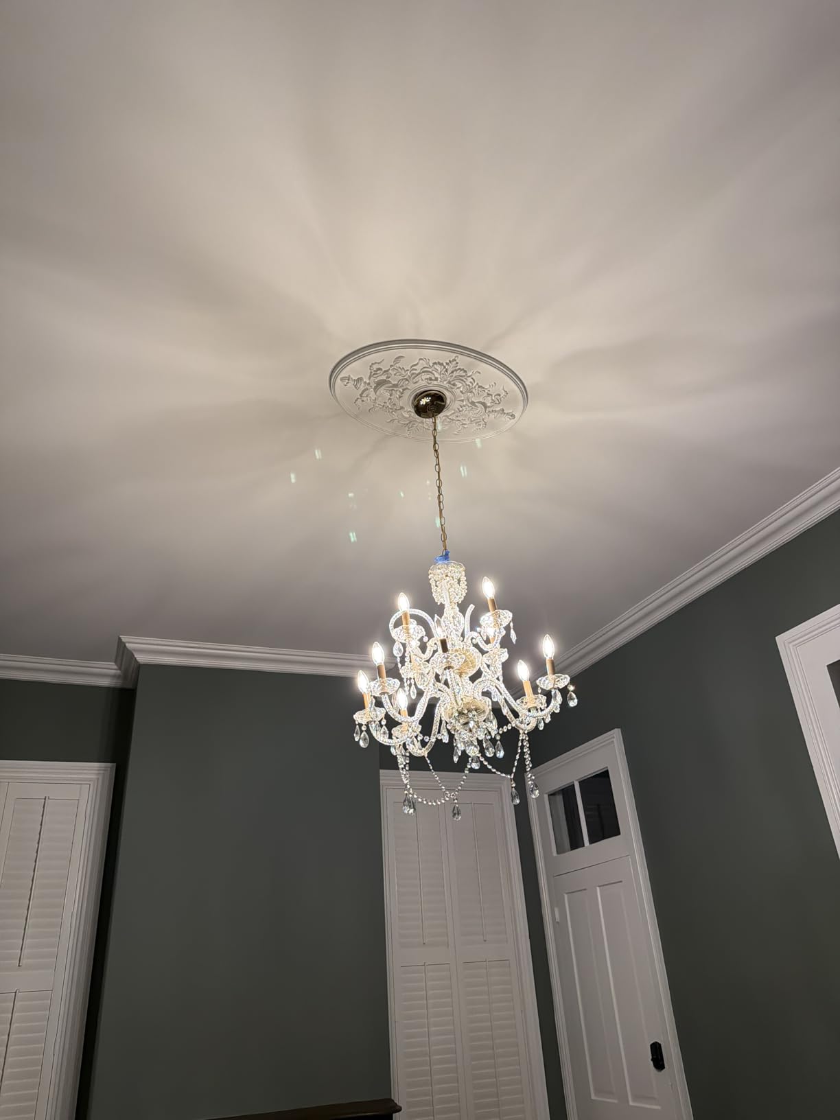 Ekena Millwork CM21X30AL 21 1/4-Inch W x 30 3/4-Inch H x 1 5/8-Inch P Alexa Ceiling Medallion customer photo 1