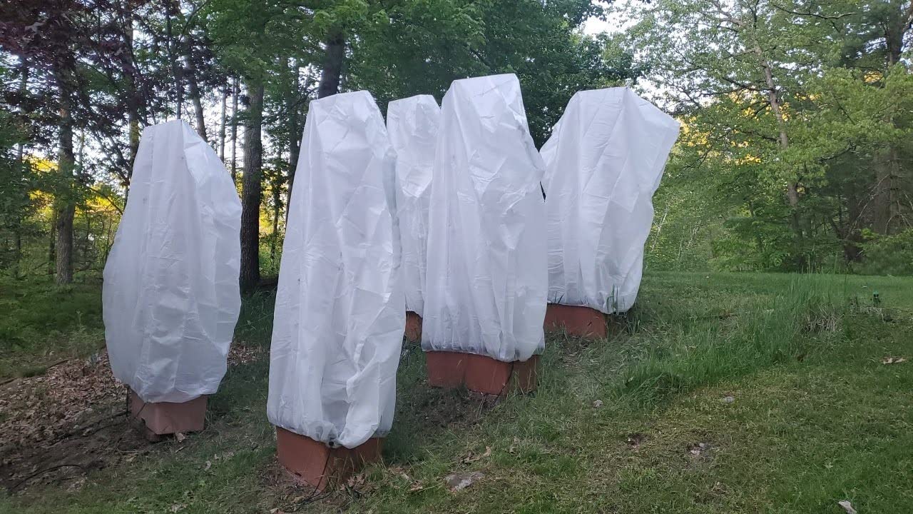 Agfabric Plant Covers Freeze Protection H48 x55 0.9oz Plant Frost Protection Covers Plant Protection Winter Cover Drawstring Bags Cold Frost Blanket,White customer photo 1