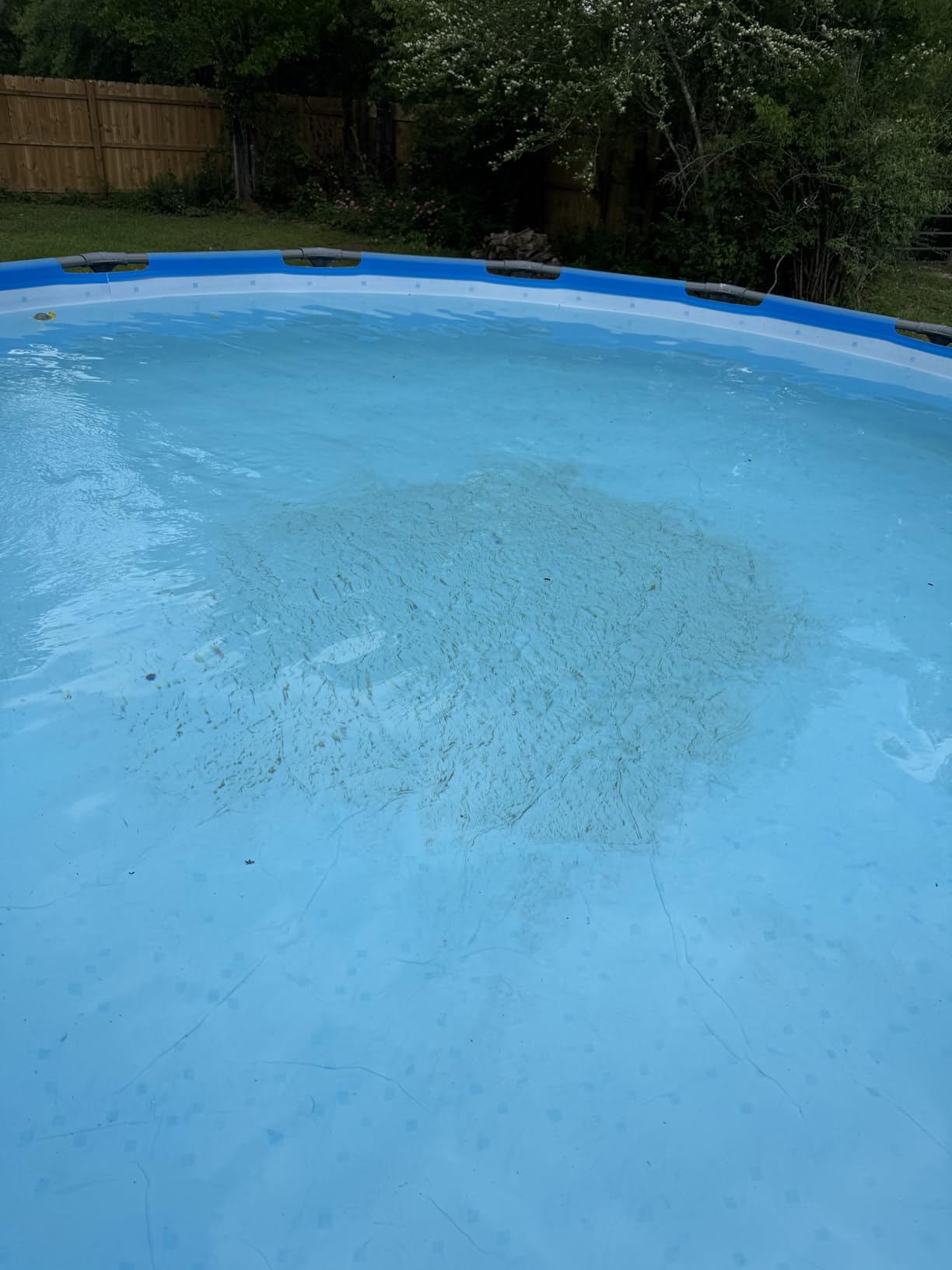 FibroPool Pool Vacuum Head - 14.4
