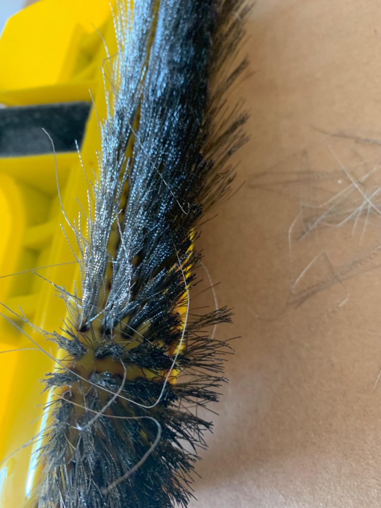 SweepEase Swimming Pool Brush 10