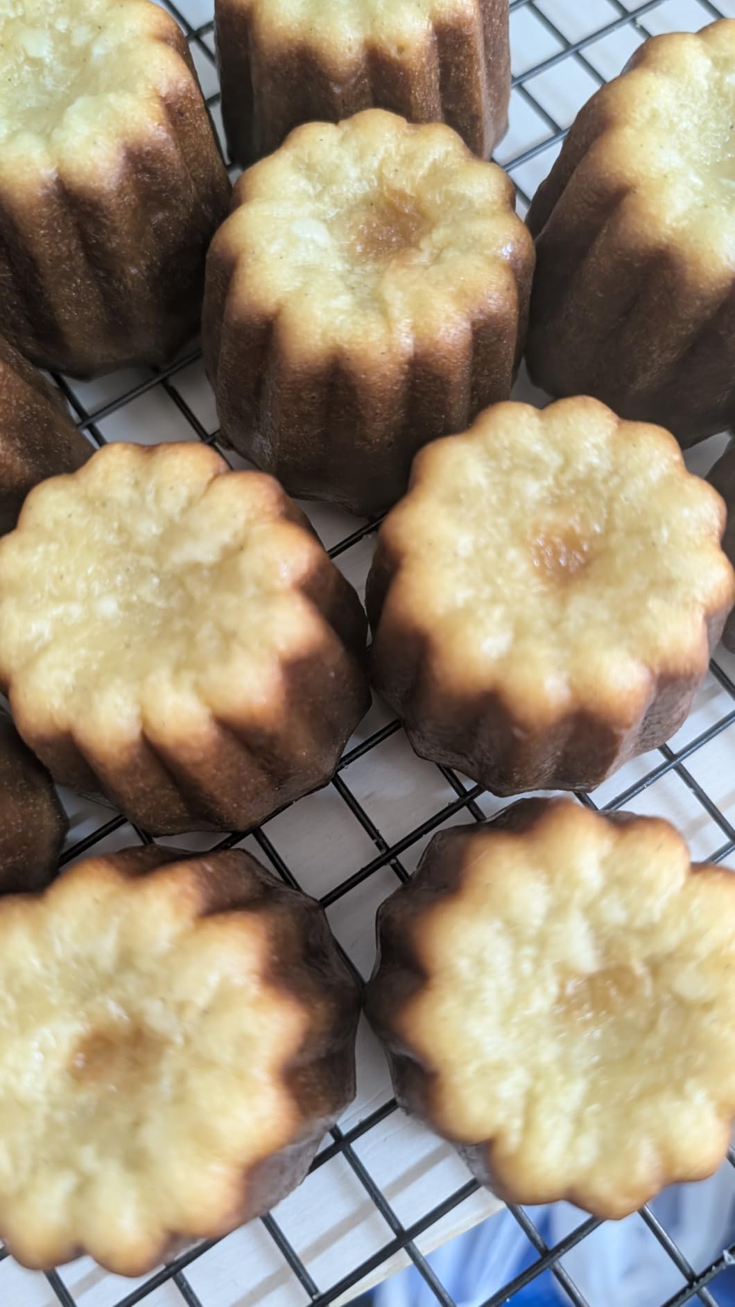 Non-stick Canele Molds Baking Pans for Cupcakes, 12 Cavities Cannelés Mold Mini Cupcake Baking Tray Muffin Pan Bakeware Oven Molds customer photo 1